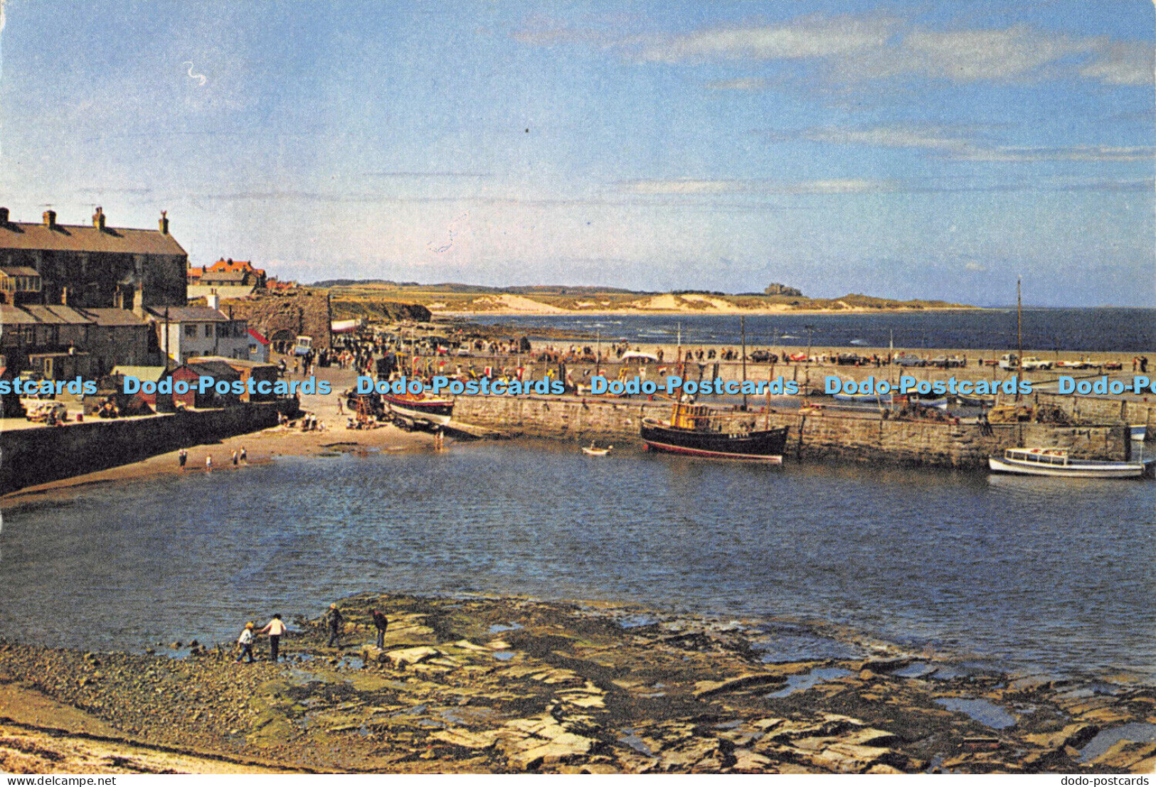 D004572 Seahouses. Northumberland. Dixon