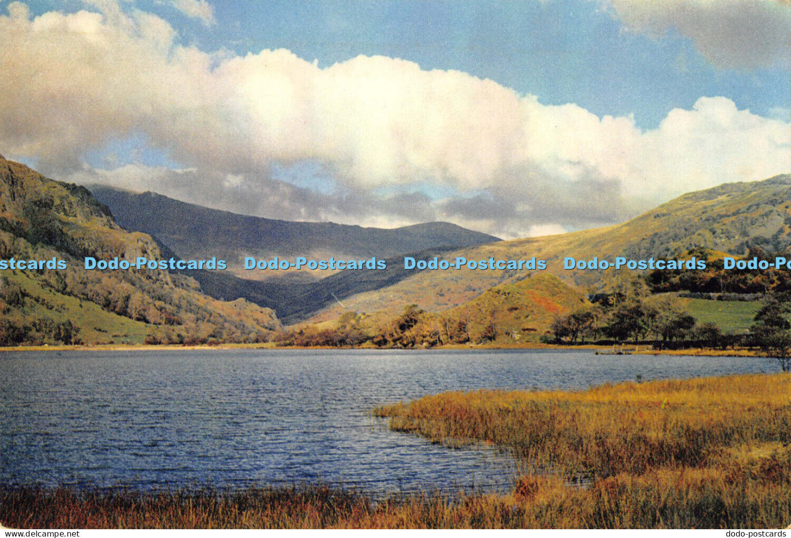 D005110 Llyn Gwynant. Caernarvonshire. Dixon. Snowdonia National Park