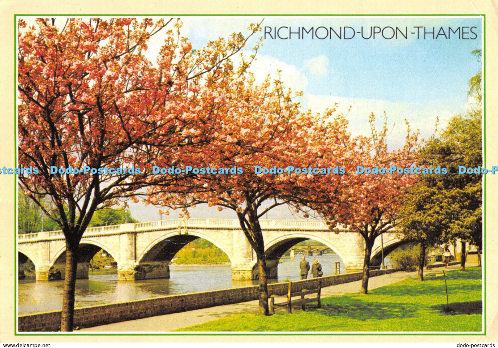 D005174 Richmond Upon Thames. Cherry Blossom Time at Richmond. Surrey. H. D. Kei