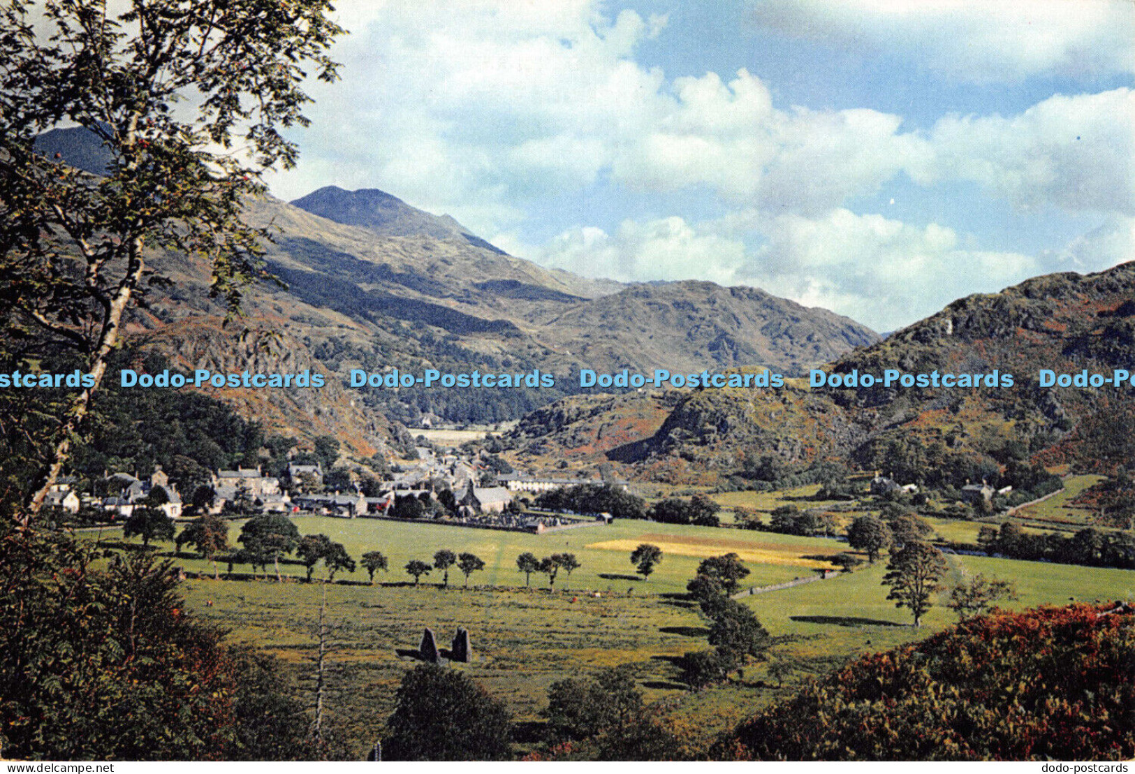 D005857 Beddgelert. Caernarvonshire. Dixon