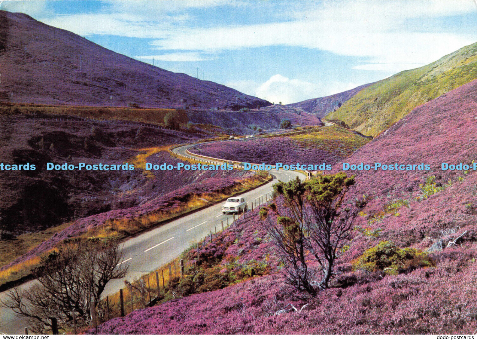 D006326 The Slochd Pass. Inverness shire. Dixon. 1981