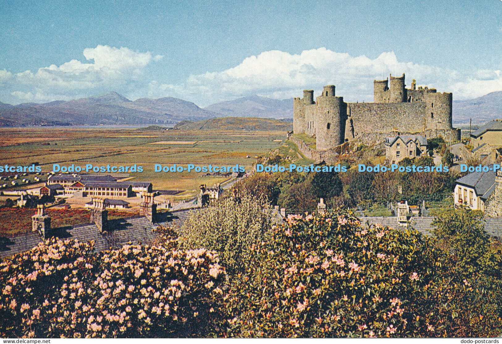 D006810 Harlech Castle. Merionethshire. Arthur Dixon