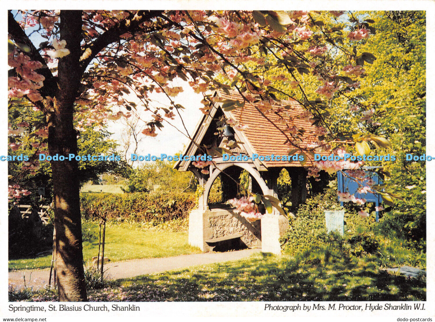 D007004 Springtime. St. Blasius Church. Shanklin. Mrs. M. Proctor. Hyde Shanklin