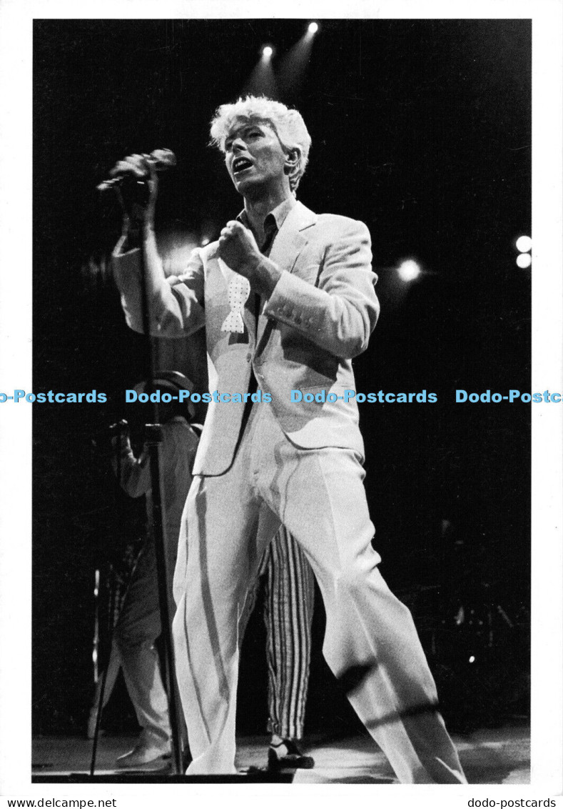 D007316 Bob Gruen. David Bowie. Madison Square Garden. NYC 1983. News Production