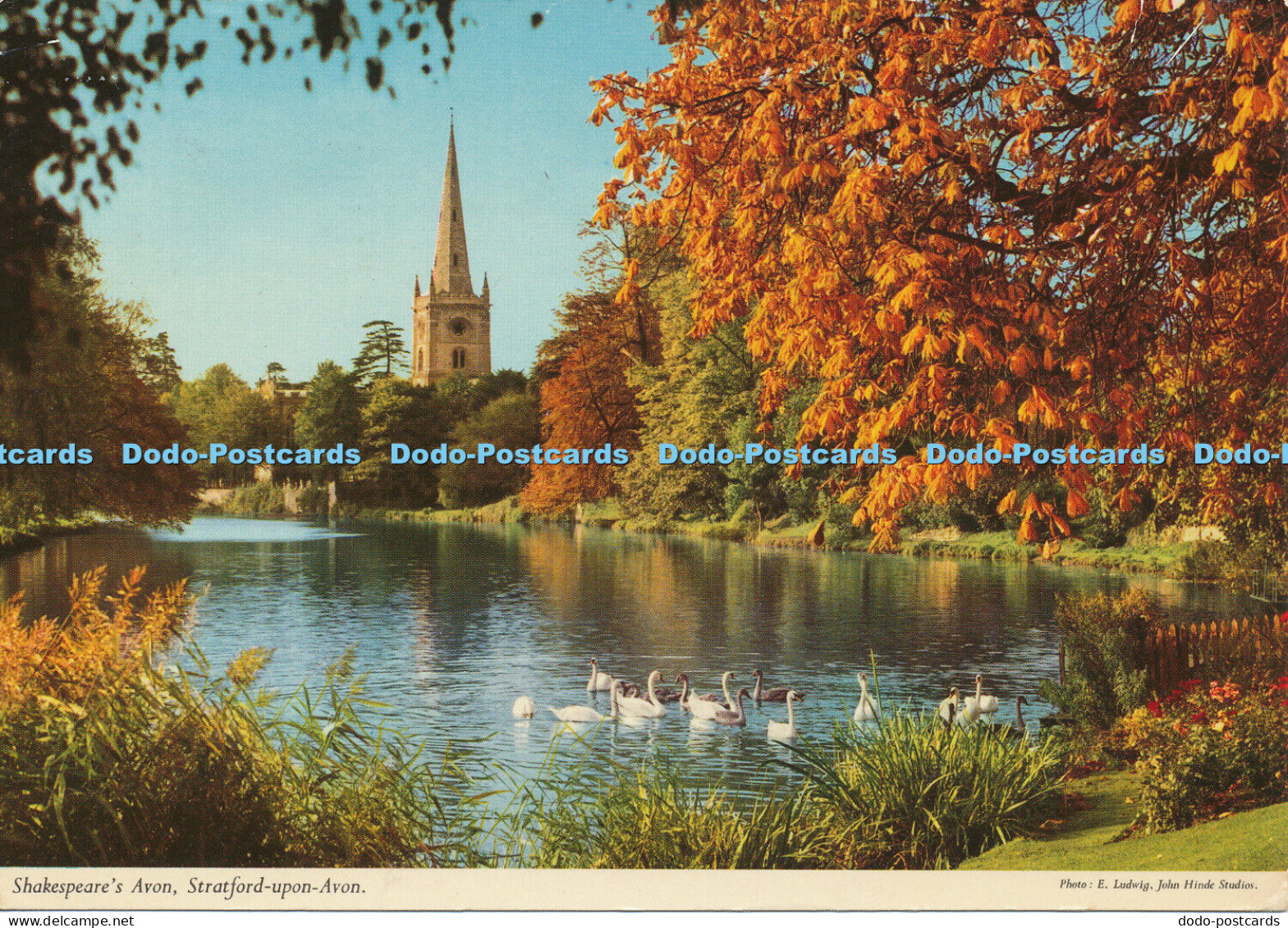 D008008 Shakespeares Avon. Stratford Upon Avon. John Hinde. No 2SOA 11. 1975