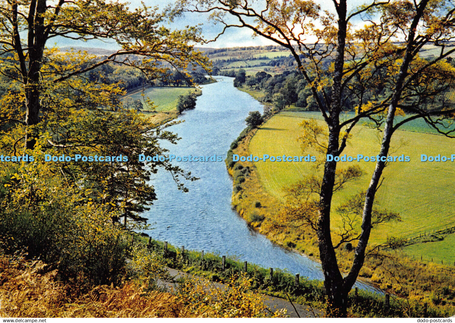 D008479 The Queens View on the Spey. Craigellachie. Banffshire. Dixon. 1972