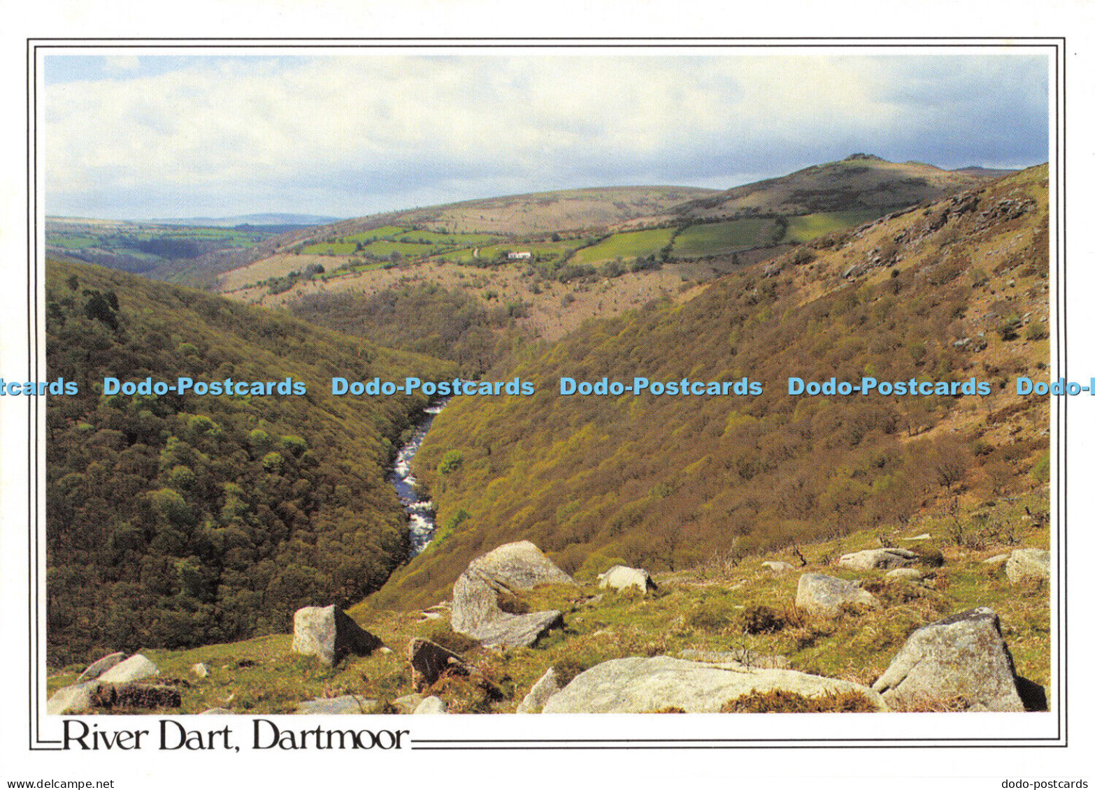 D009107 River Dart. Dartmoor. Poundsgate. Devon. Blackalls Drive. Devon. Judges.