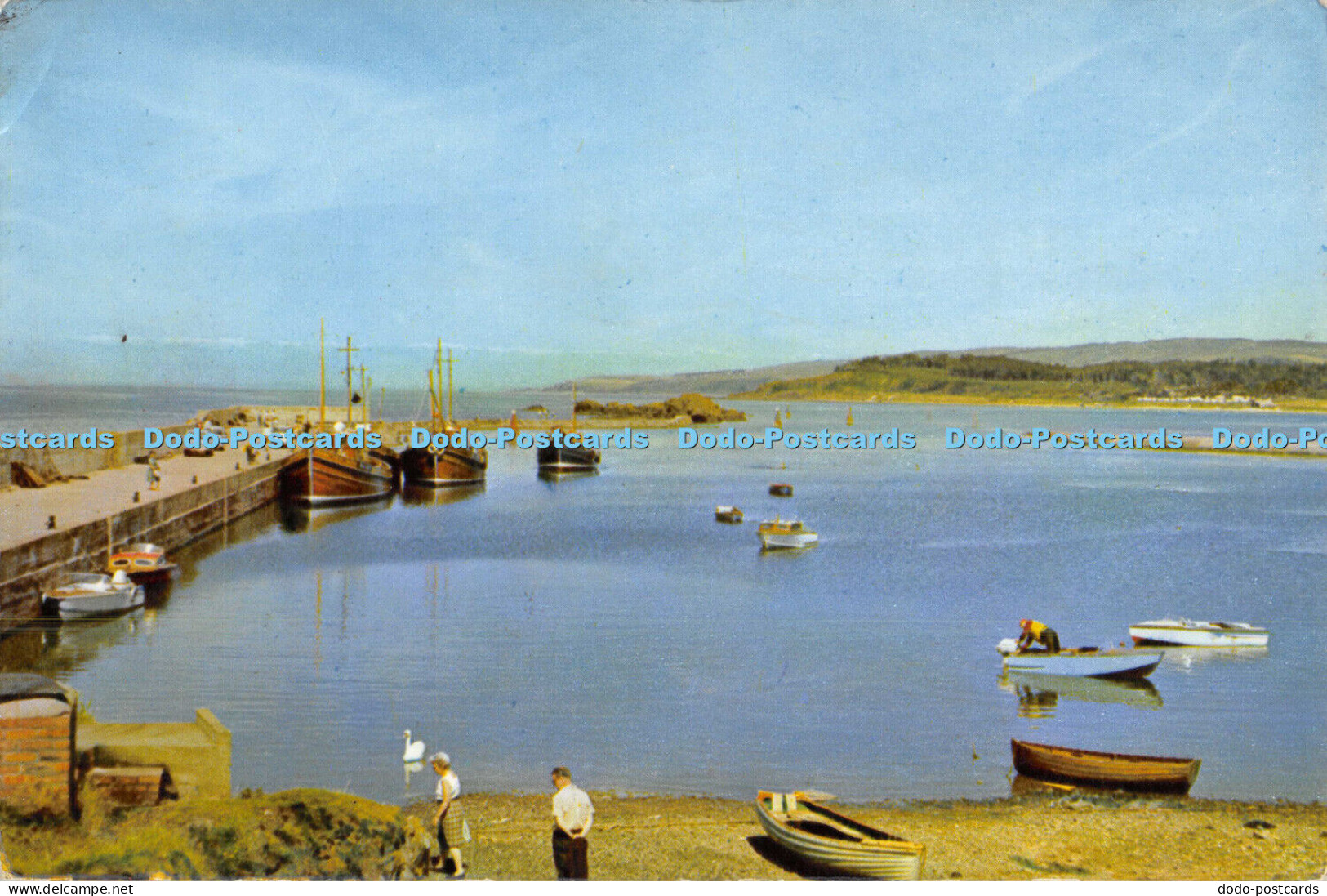 D009211 Maidens Harbour. Thistledown. Maybole. A Henderson. Scotland