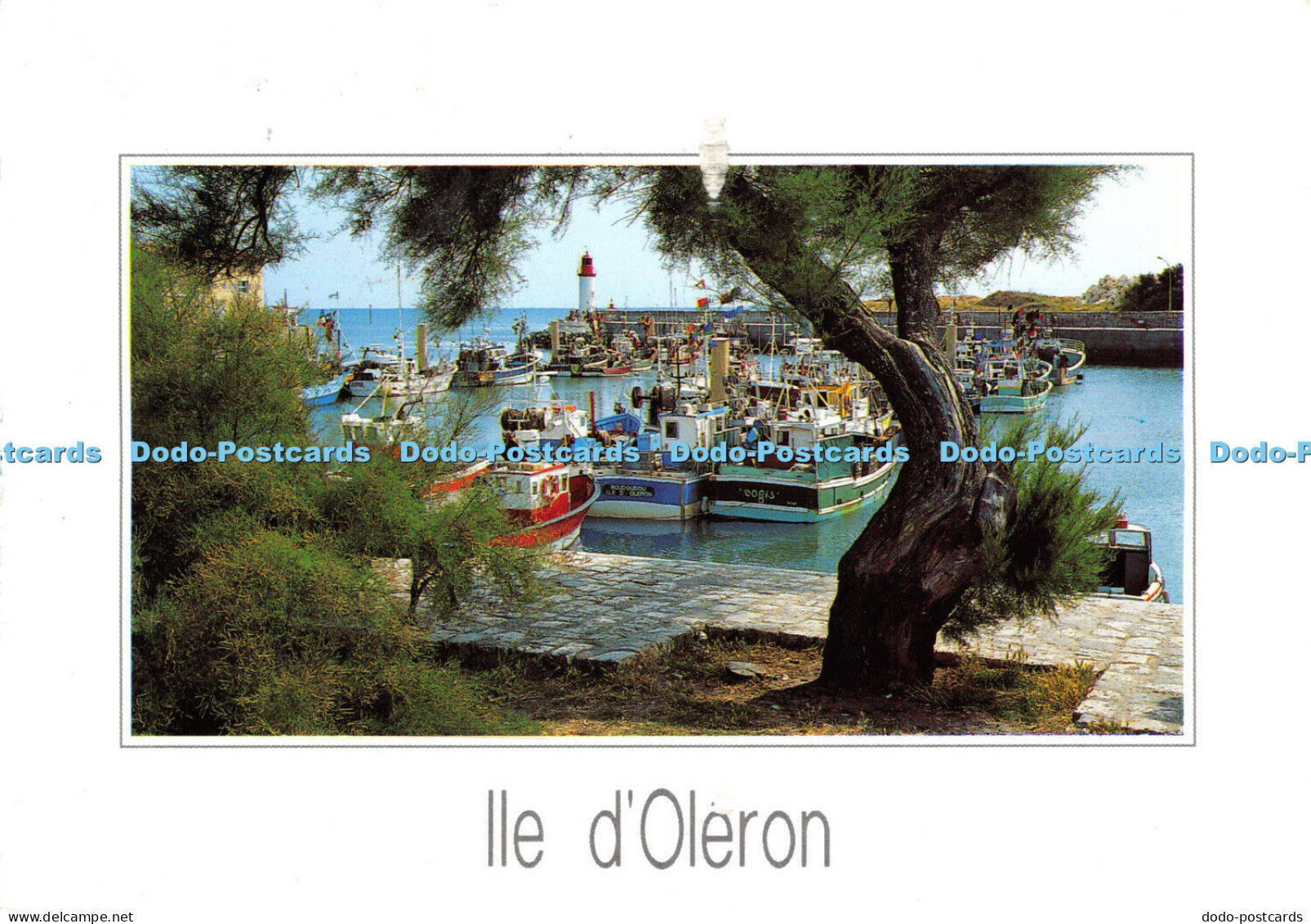 D009964 Ile Doleron. La Cotiniere. Le Port. Artaud Freres. Carquefou. Nantes. 19