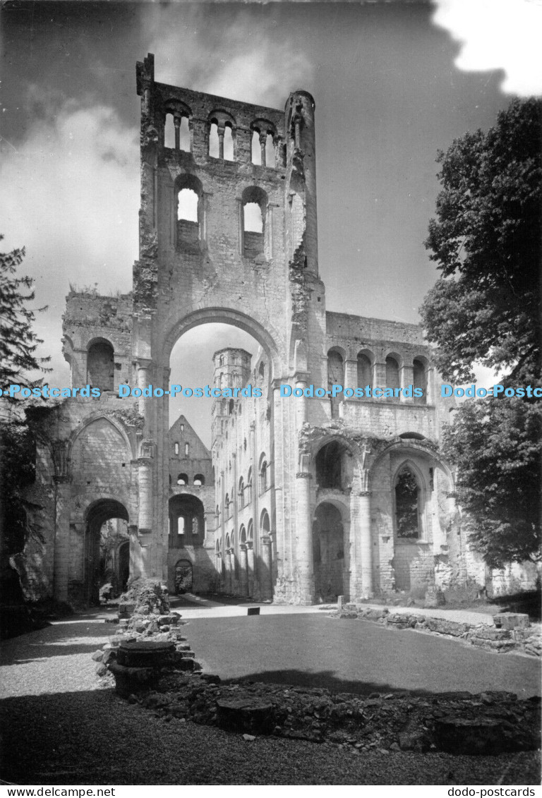 D010589 Jumieges. Ruines de l Abbaye