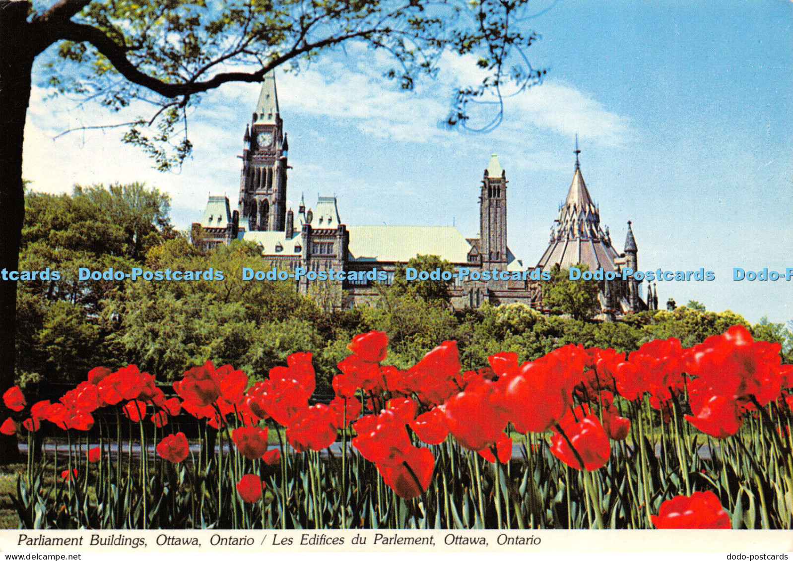 D015327 Parliament Buildings. Ottawa. Ontario. Les Edifices du Parlement. Ottawa