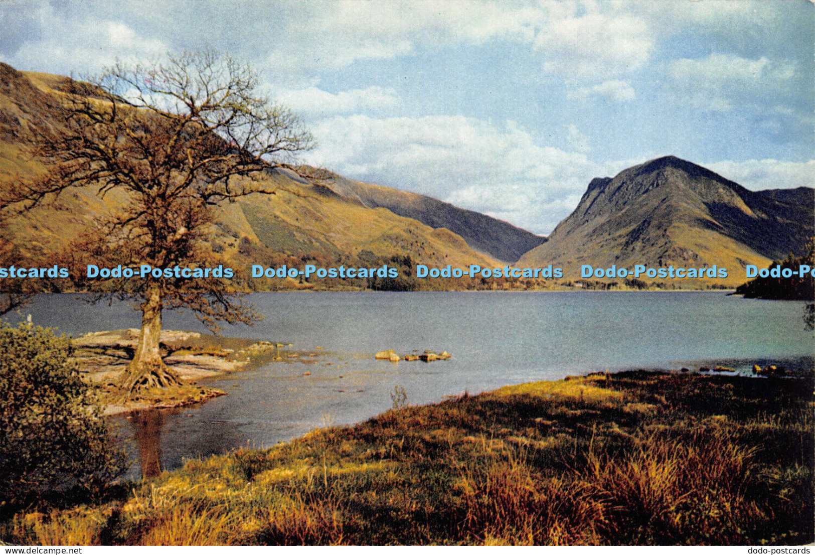 D018269 Buttermere. Cumberland. Dixon