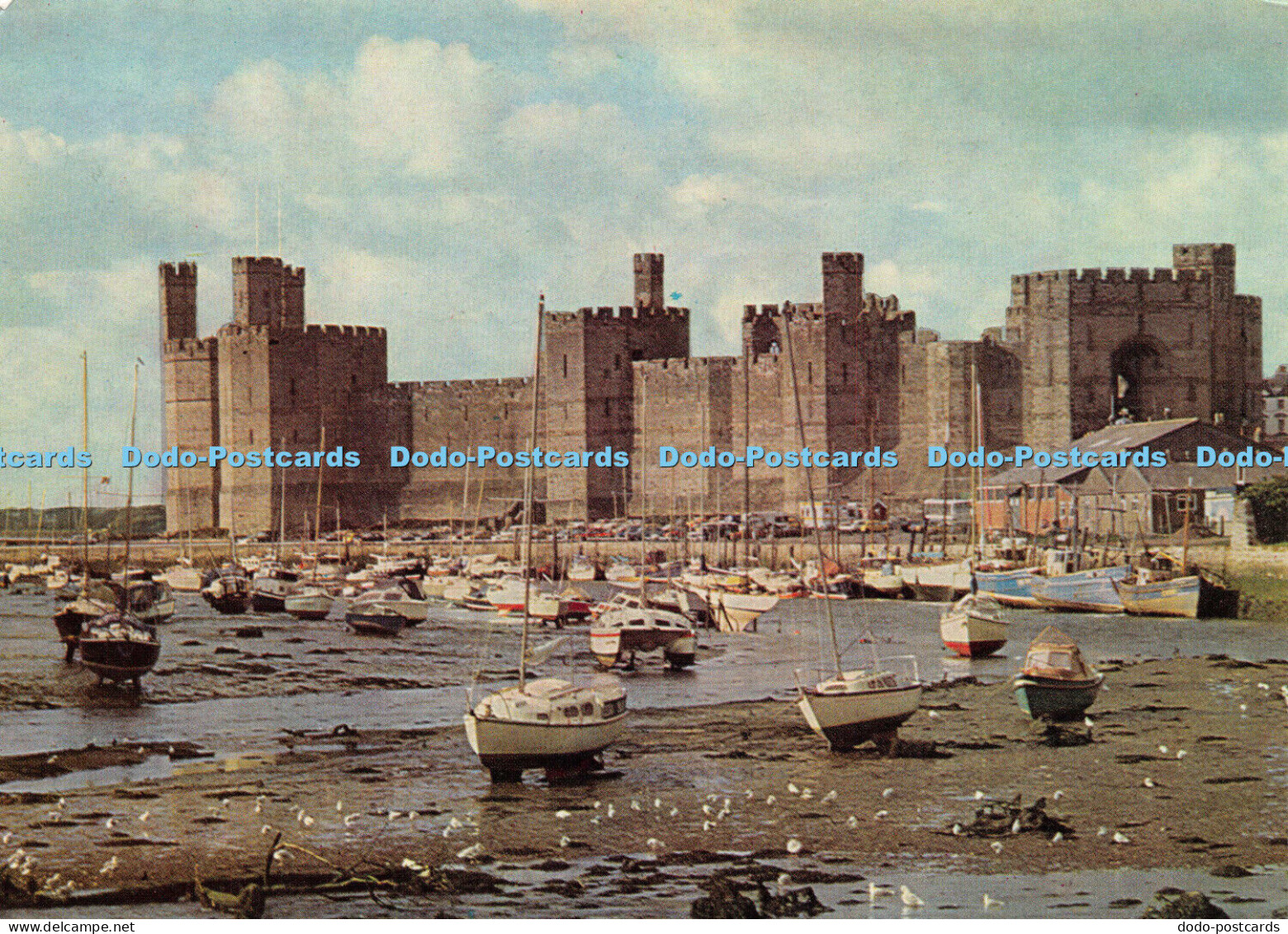 D018410 Castell Caernarfon. Gwynedd. Caernarfon Castle. Gwynedd. Y Swyddfa Gymre