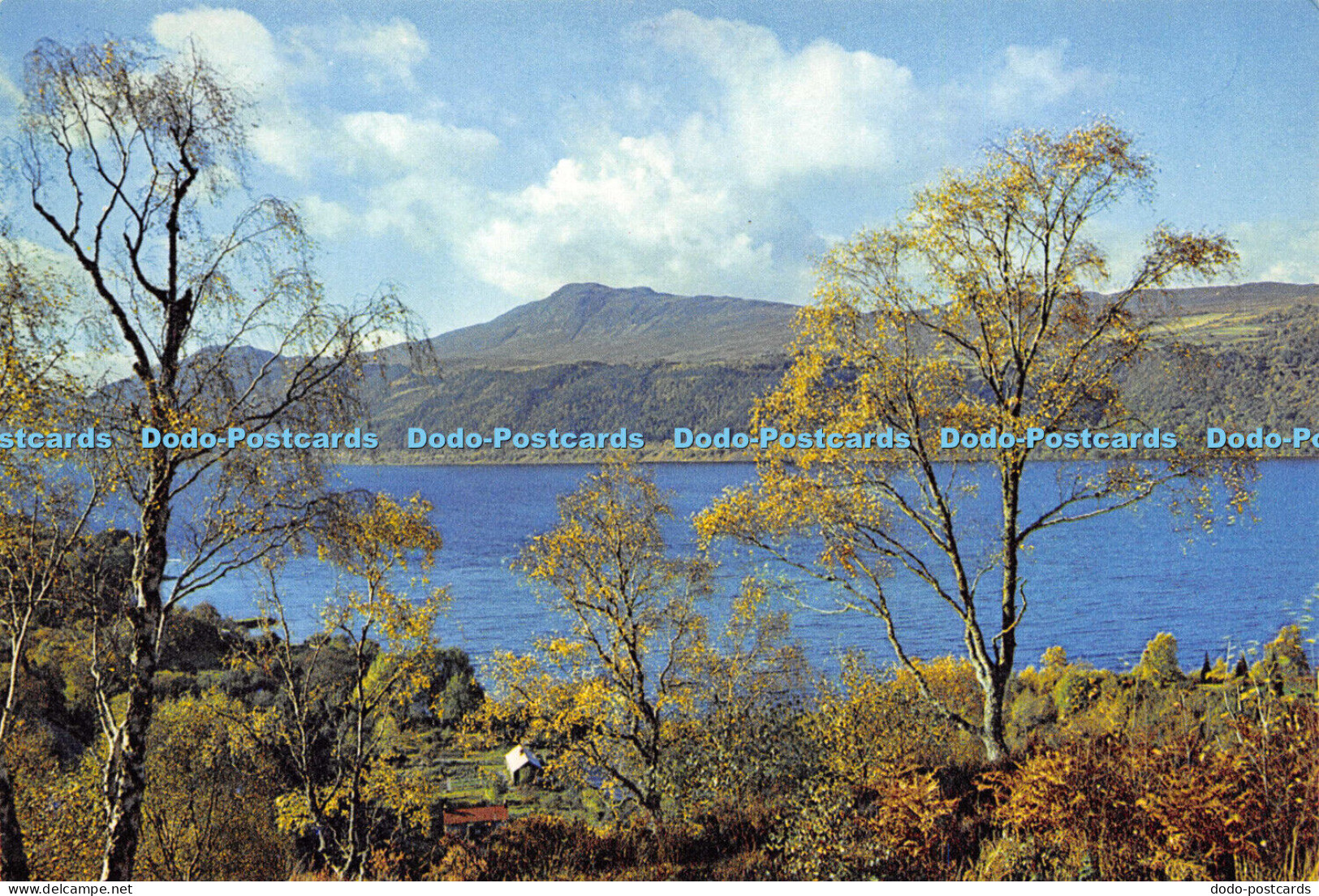 D018504 Loch Ness from Inverfarigaig. Inverness shire. Dixon