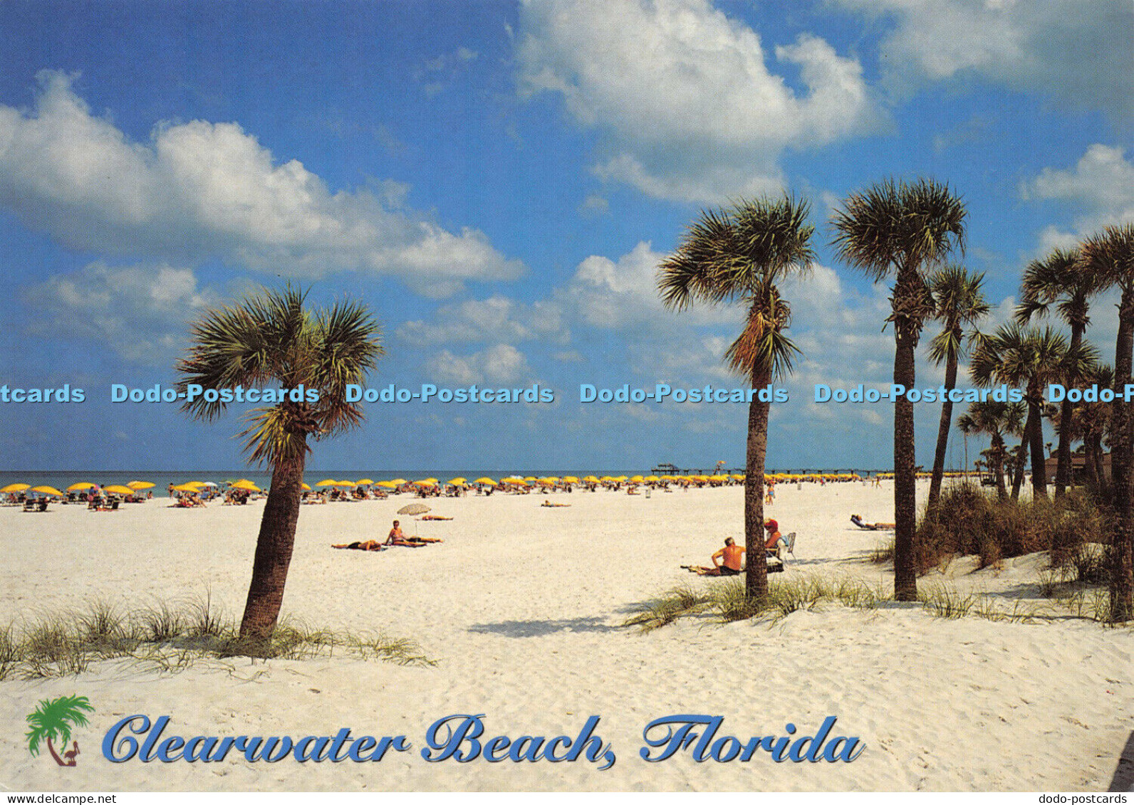 D025036 Clearwater Beach. Florida. Tom Brown