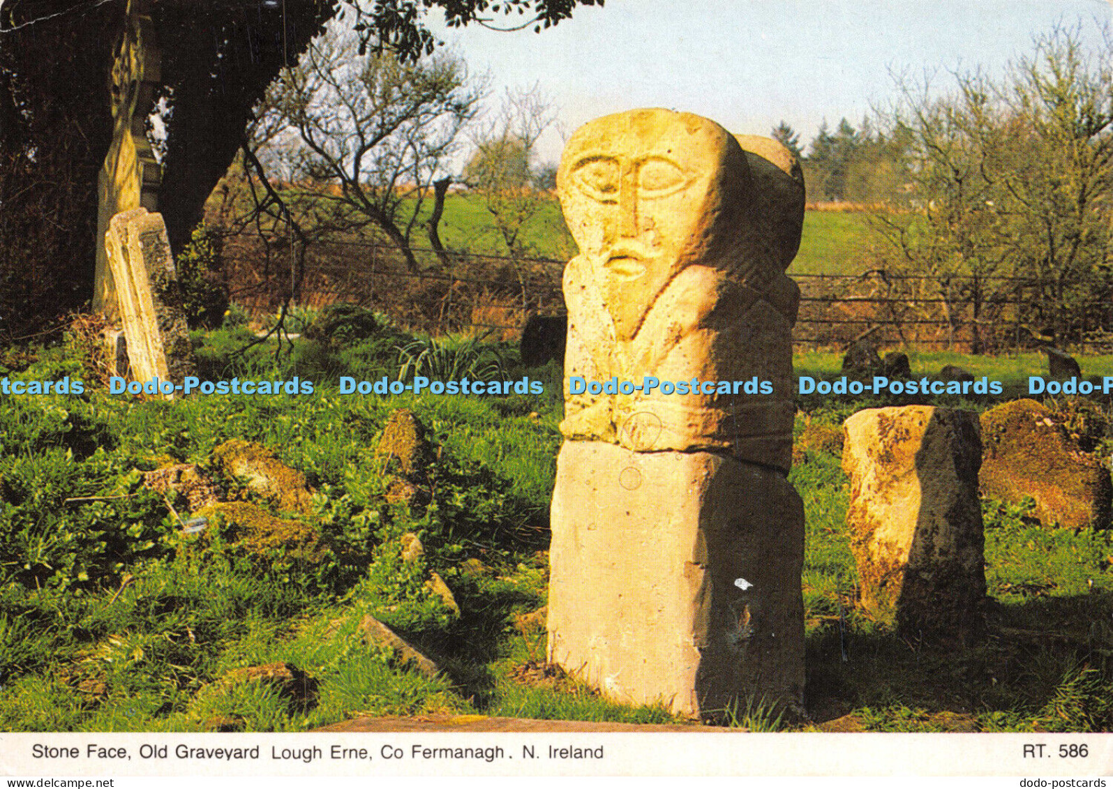 D028731 Stone Face. Old Graveyard Lough Erne. Co. Fermanagh. N. Ireland. Bamfort