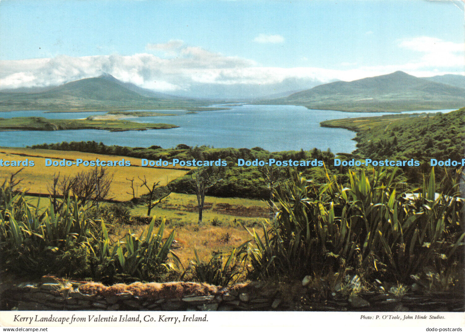 D031619 Ireland. Co. Kerry. Kerry Landscape from Valentia Island. P. O Toole. Jo