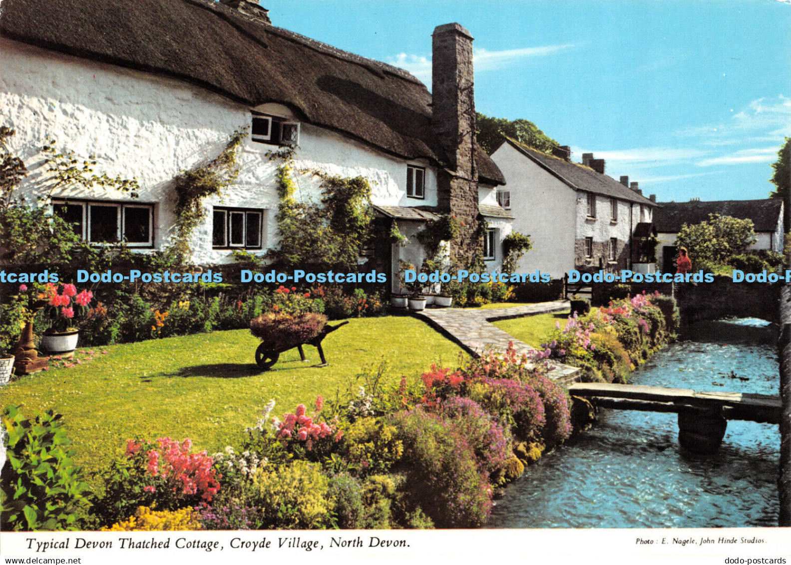 D036154 North Devon. Typical Devon Thatched Cottage. Croyde Village. John Hinde