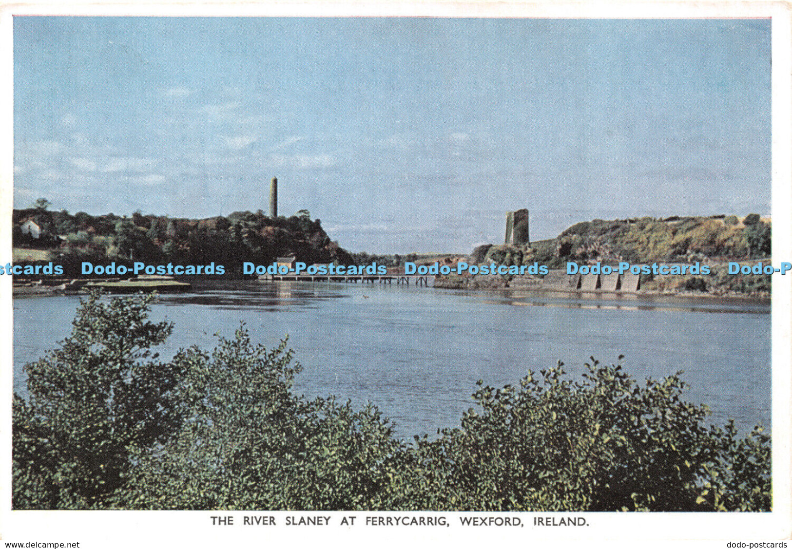 D037431 Ireland. Wexford. The River Slaney at Ferrycarrig. Irish Printers. P. C.