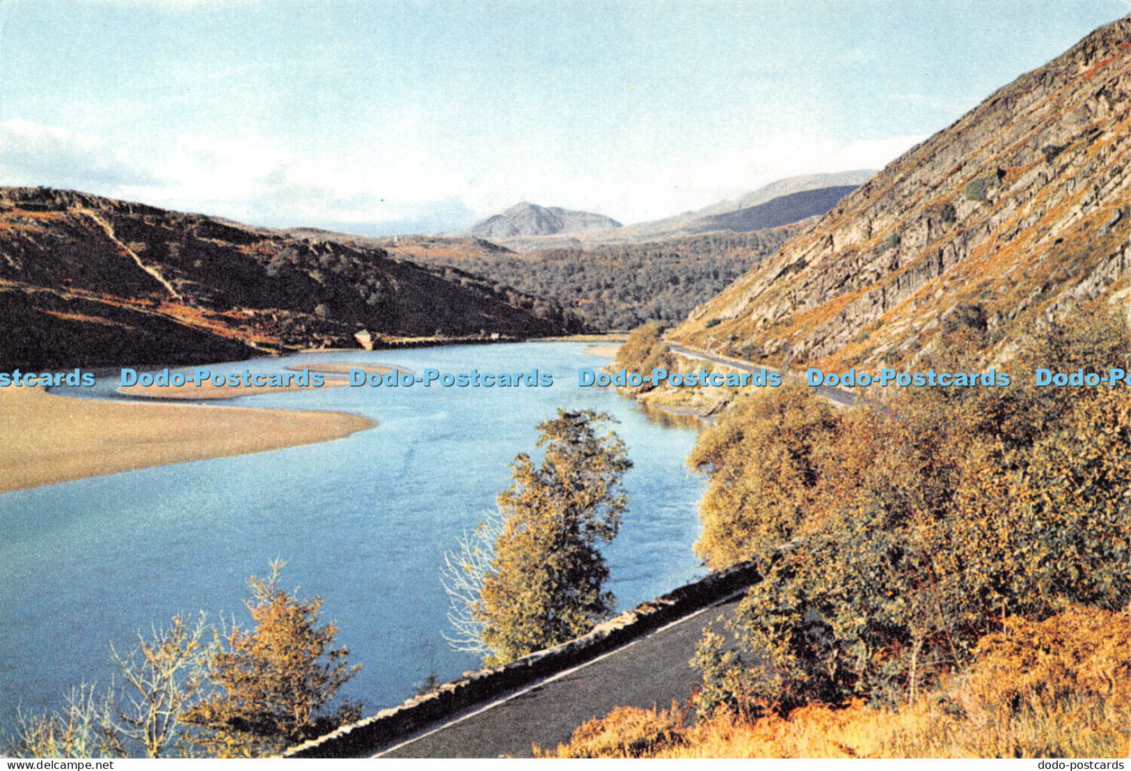 D039831 Merionethshire. In the Vale of Ffestiniog. A View in the Snowdonia Natio