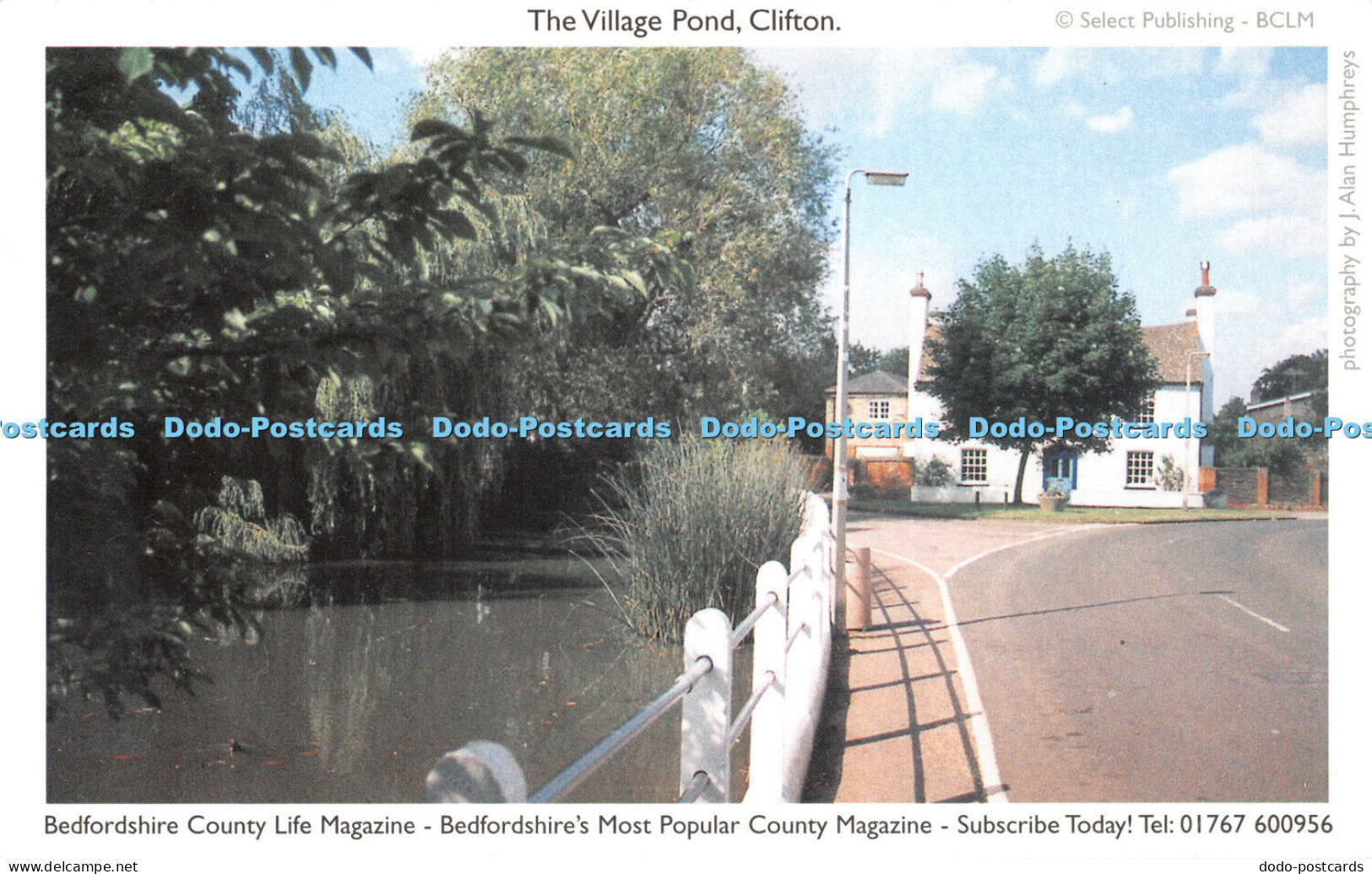 D057691 The Village Pond. Clifton. Select Publishing. Bedfordshire Country Life