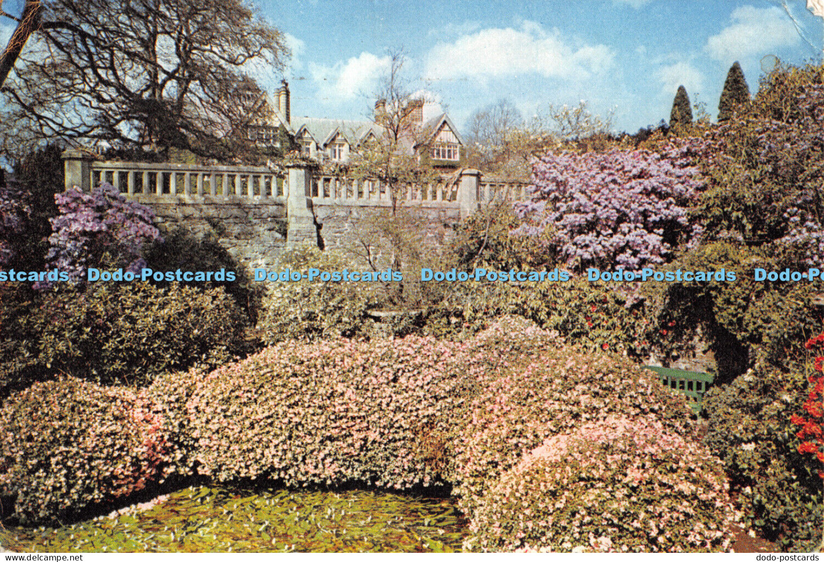 D058319 Bodnant Gardens. Denbighshire. National Trust. Dixon. 1967