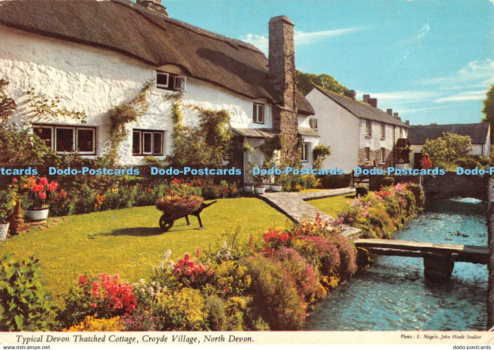 D059058 North Devon. Croyde Village. Typical Devon Thatched Cottage. John Hinde.