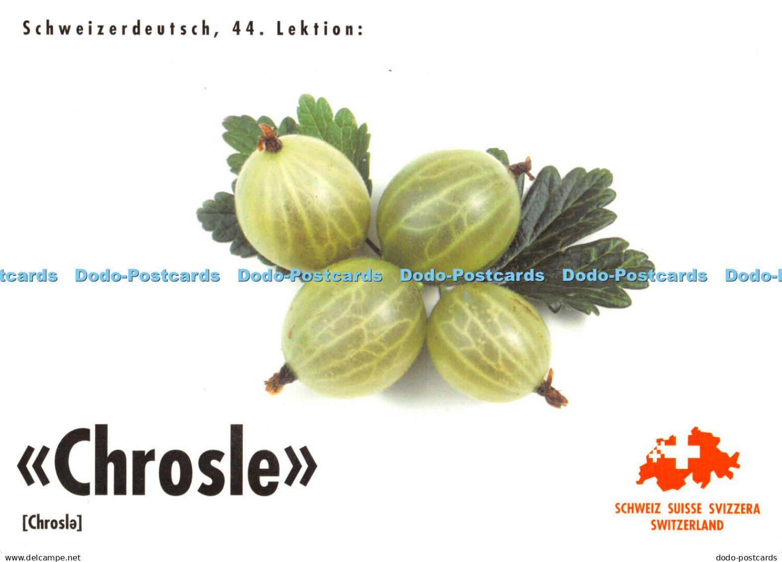 D059564 Chrosle. Nennen die Schweizer die Stachelbeeren. Die Schweizer Land und