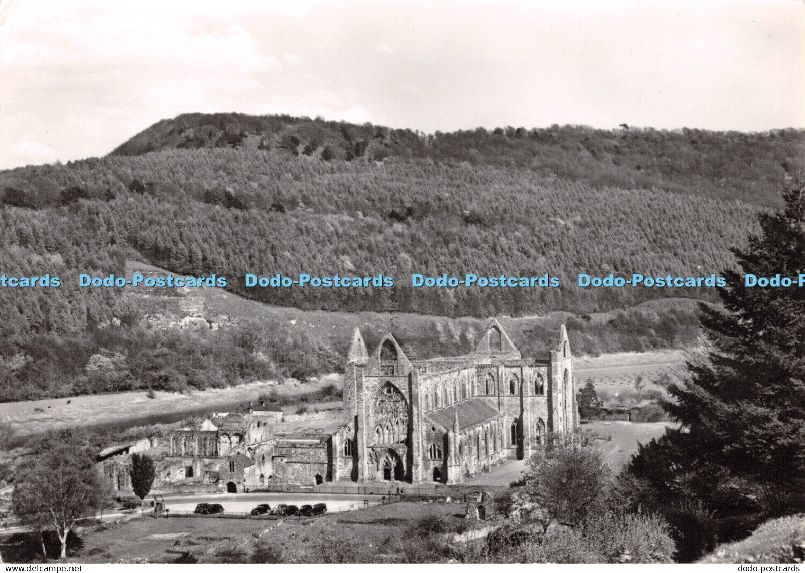 D064220 Tintern Abbey. Monmouthshire. General View from S. W. Crown