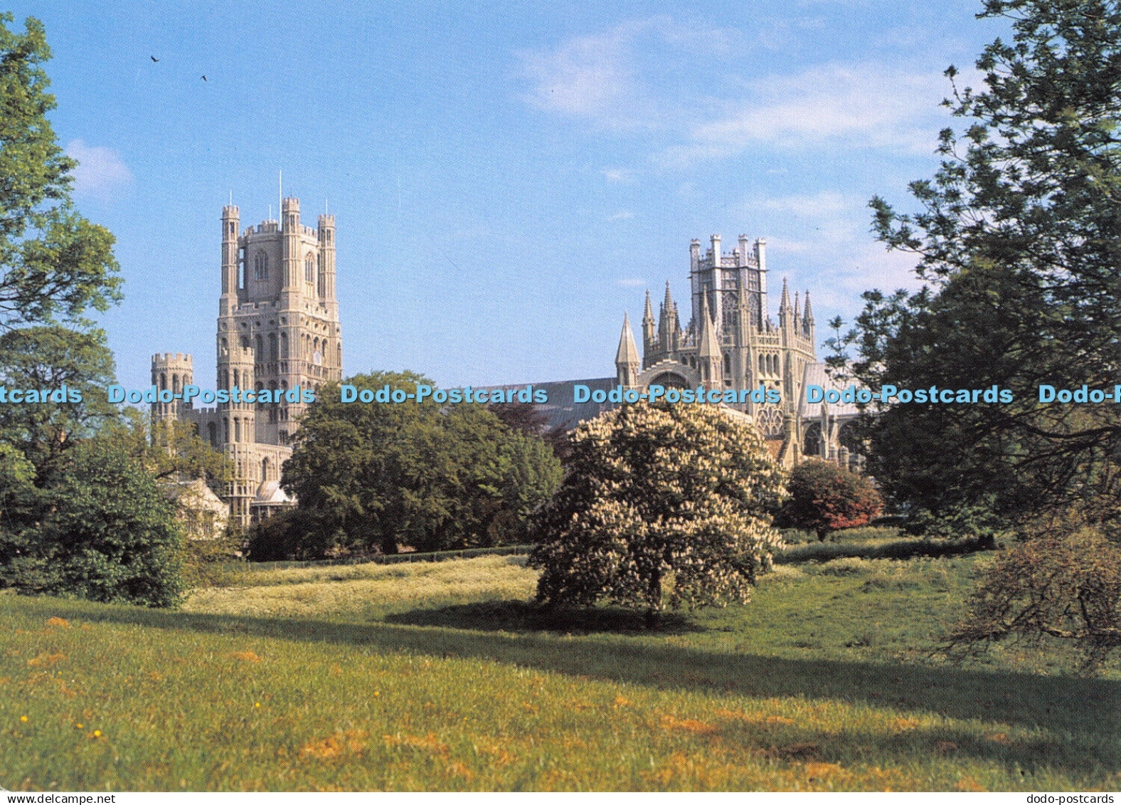 D065163 Ely Cathedral. From the Park. Judges. C. 11950. X. Ely Cathedral Shop