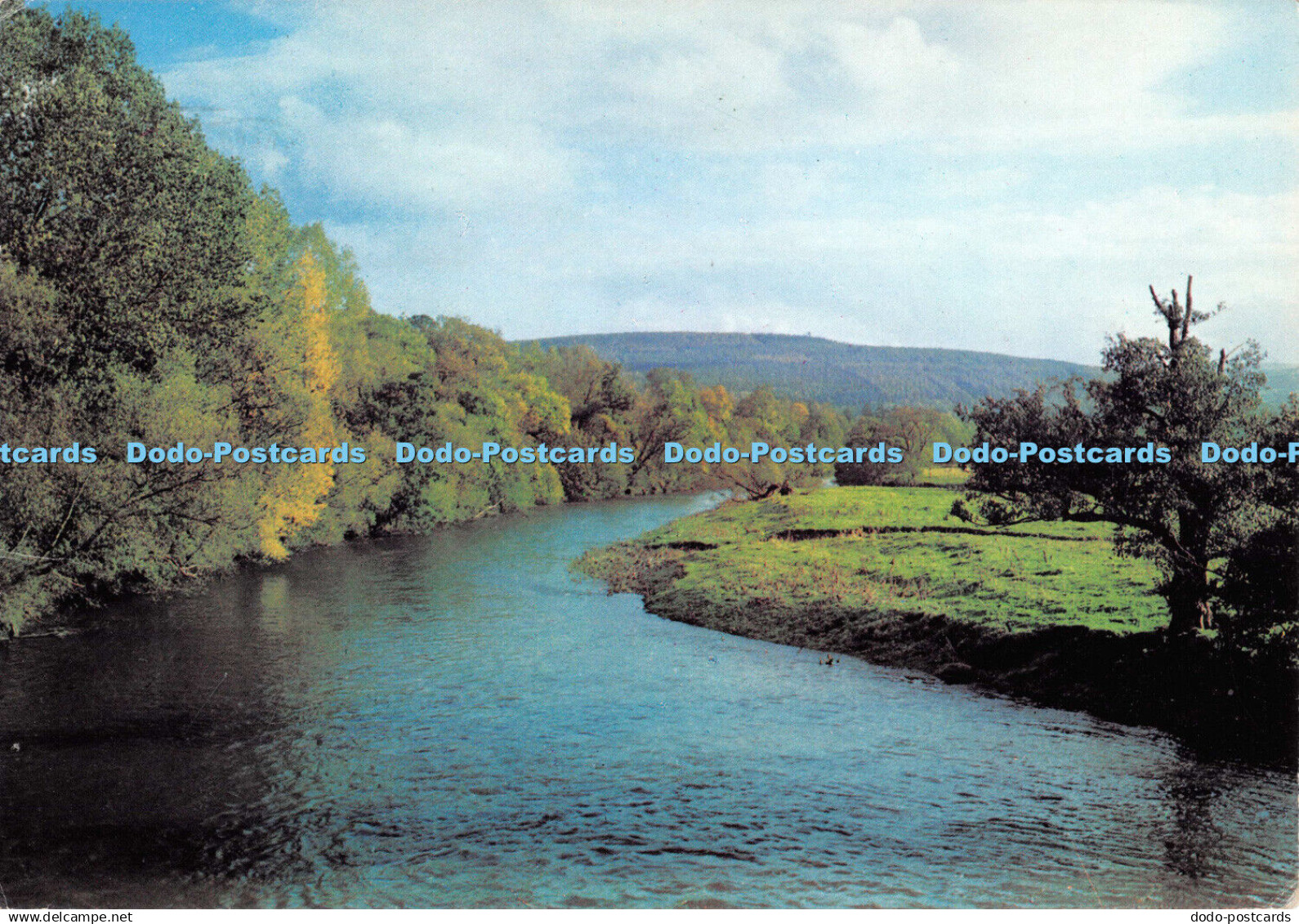 D073690 Breconshire. River Usk at Talybont. A lovely view of the River Usk at Ta