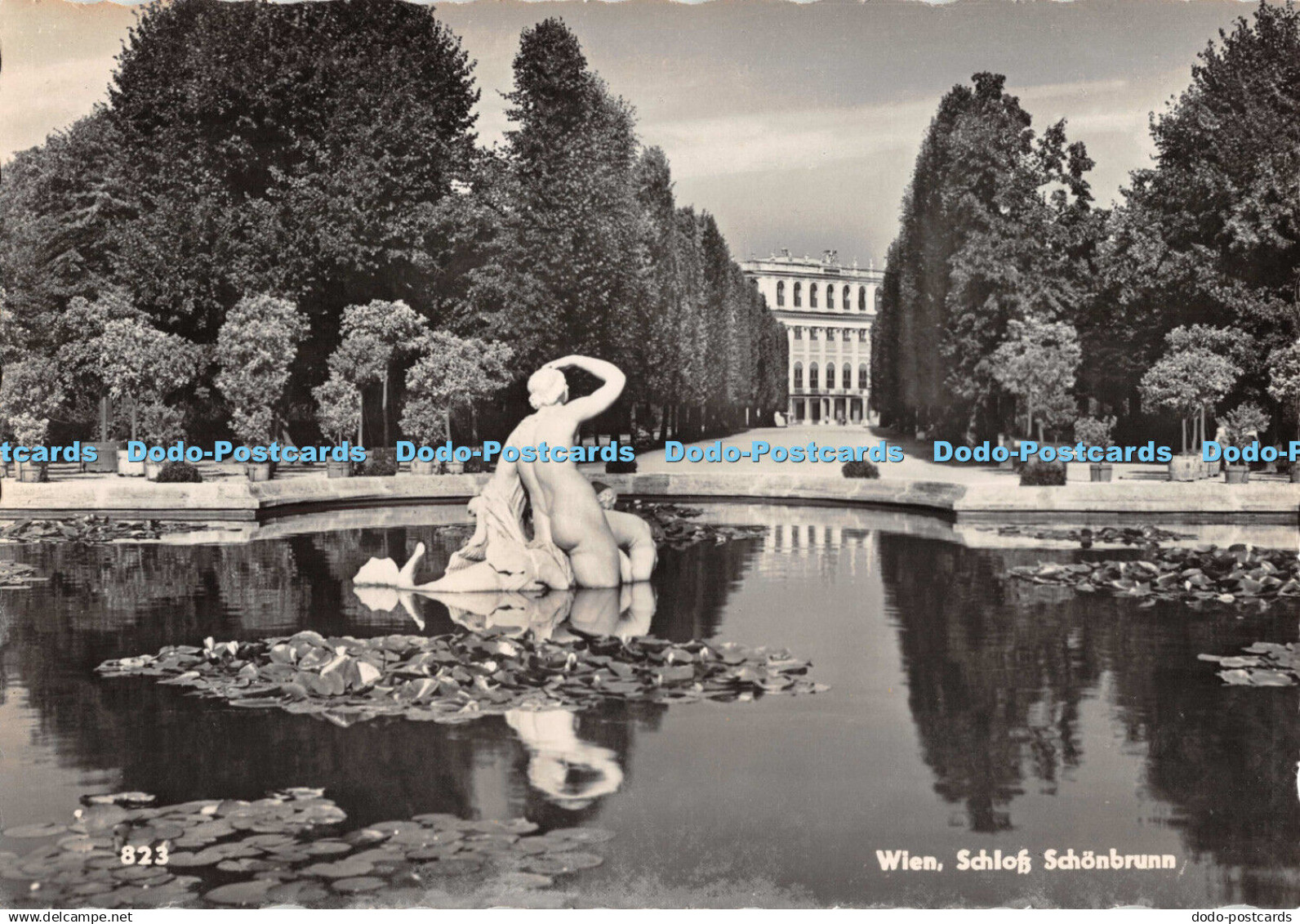 D093255 Wien. Schloss Schonbrunn. R. Hodina. RP