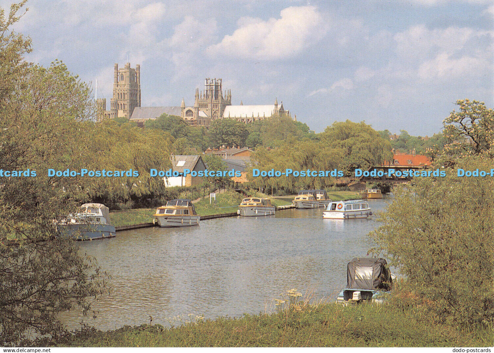 D100133 Ely Cathedral. Cambridgeshire. A view from River Great Ouse. Ely Cathedr