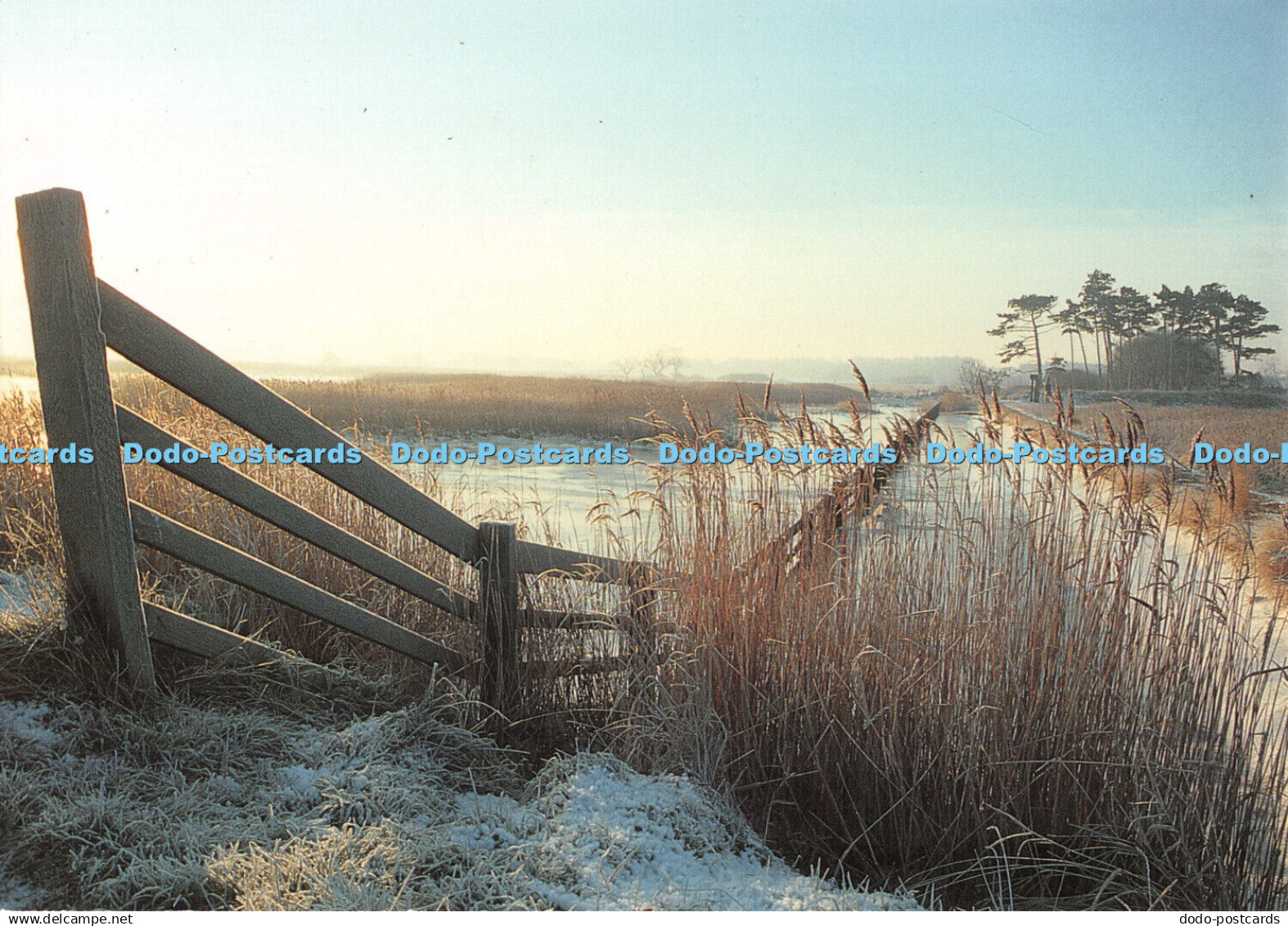 D101186 The Spirit of Suffolk. Suffolk Preservation Society and Snape Marshes. T