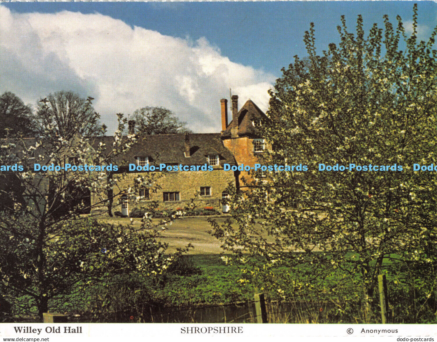 D105799 Shropshire. Willey Old Hall. Anonymous