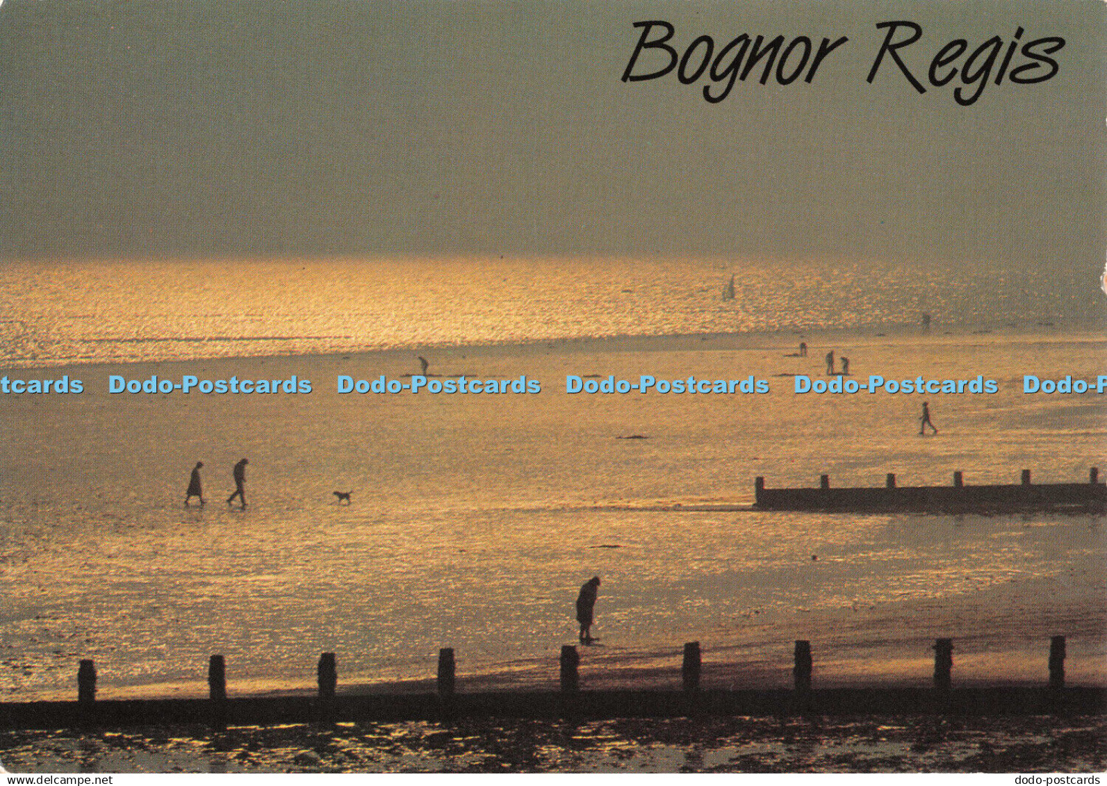 D109510 Bognor Regis. Fincom. Postcard