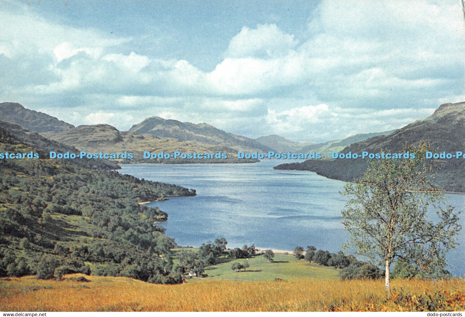 D113419 Dunbartonshire. Loch Lomond. The Bonnie Banks. J. Artur Dixon