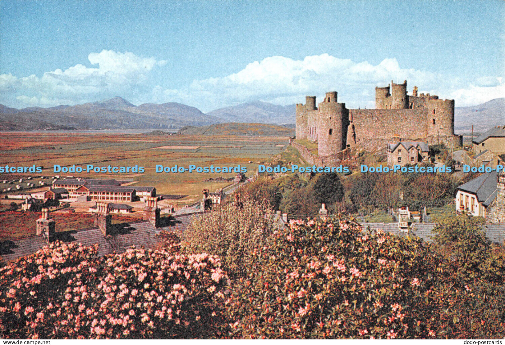 D117497 Harlech Castle. Merionethshire. Snowdonia National Park. Dixon