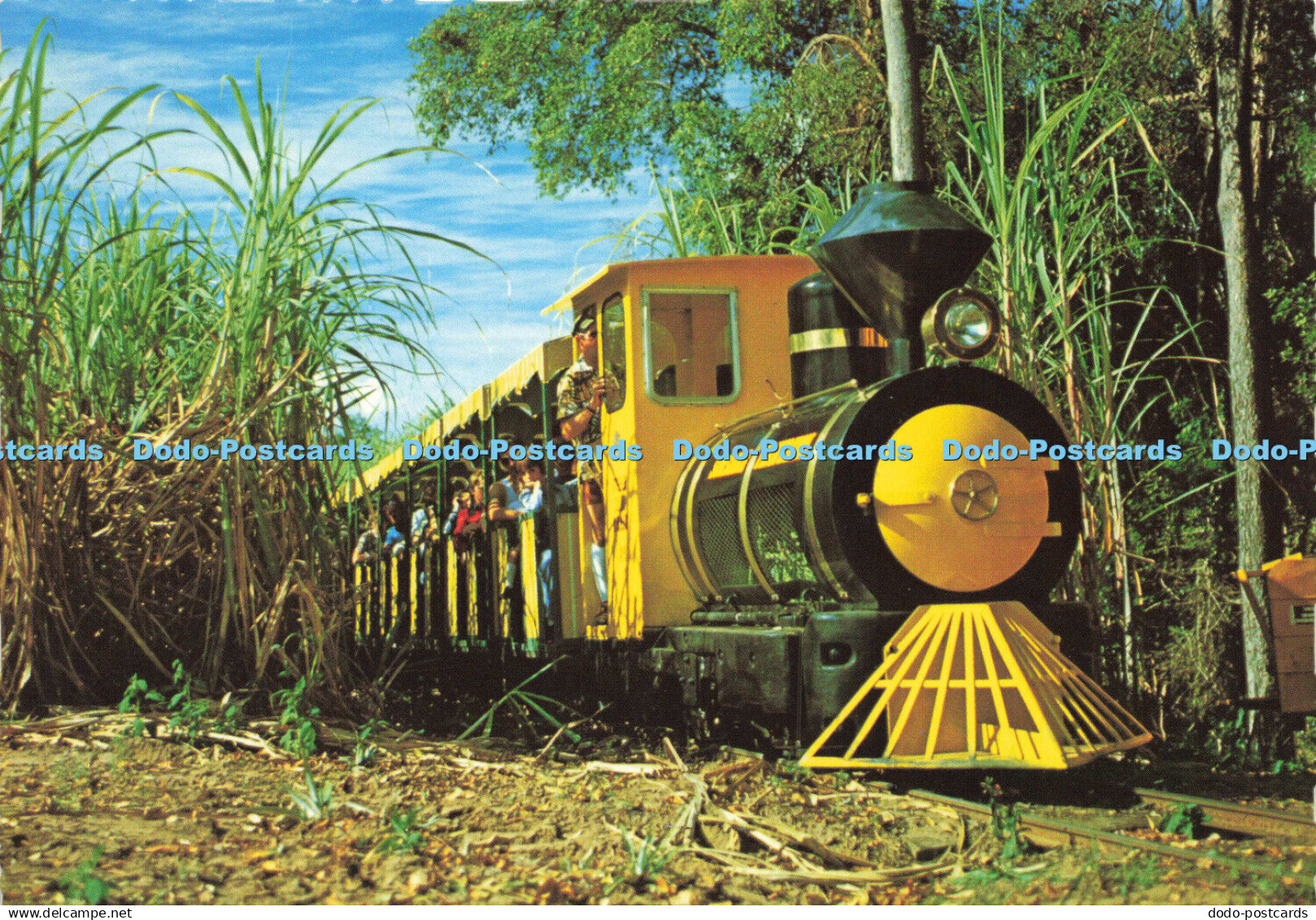 D144235 Sunshine Plantation. Sunshine Coast. Q. Sugar Cane Train. Murray Views