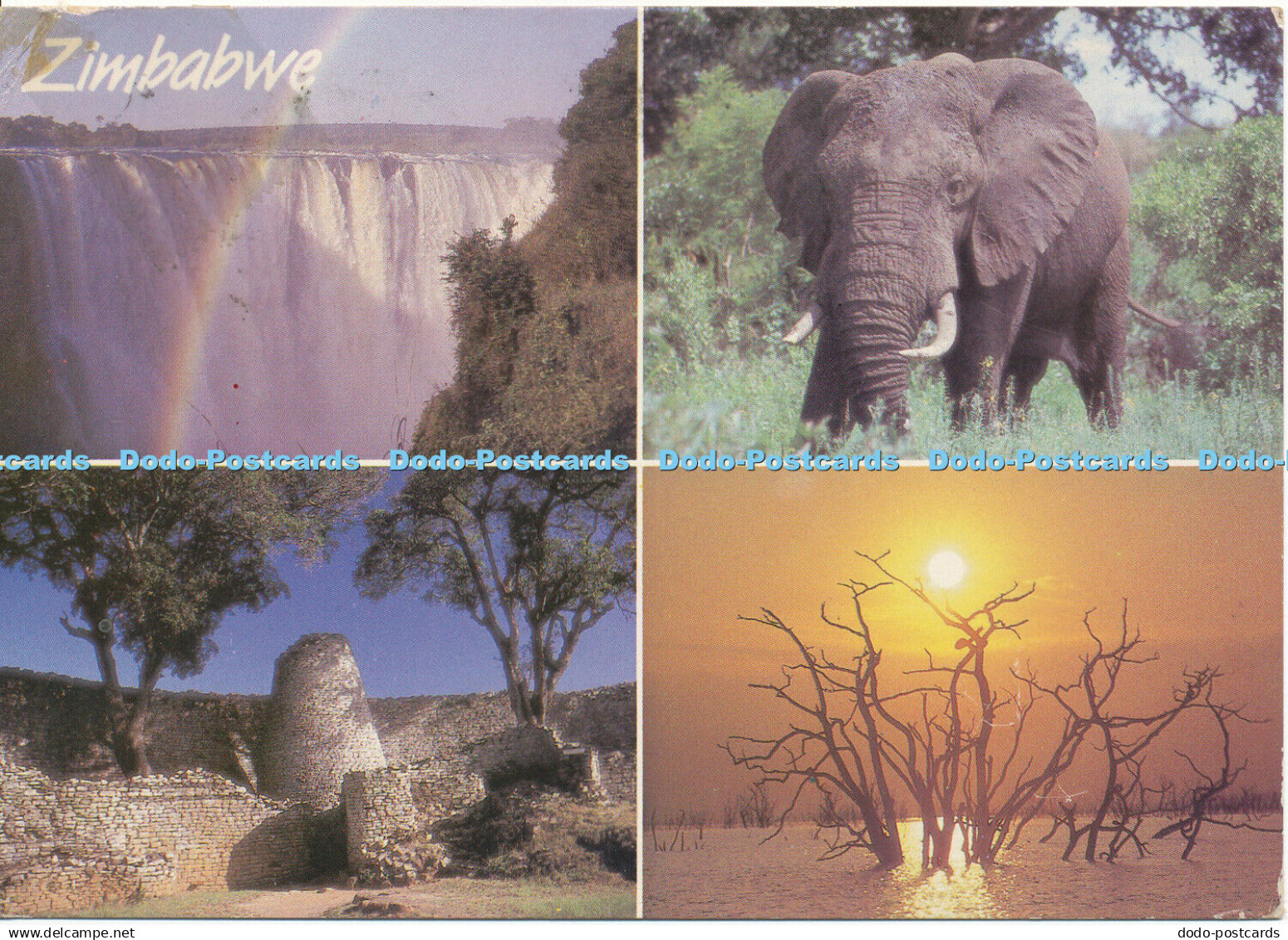 D144566 Zimbabwe. Multi view. D. Allen. PhotoSafari. 1994