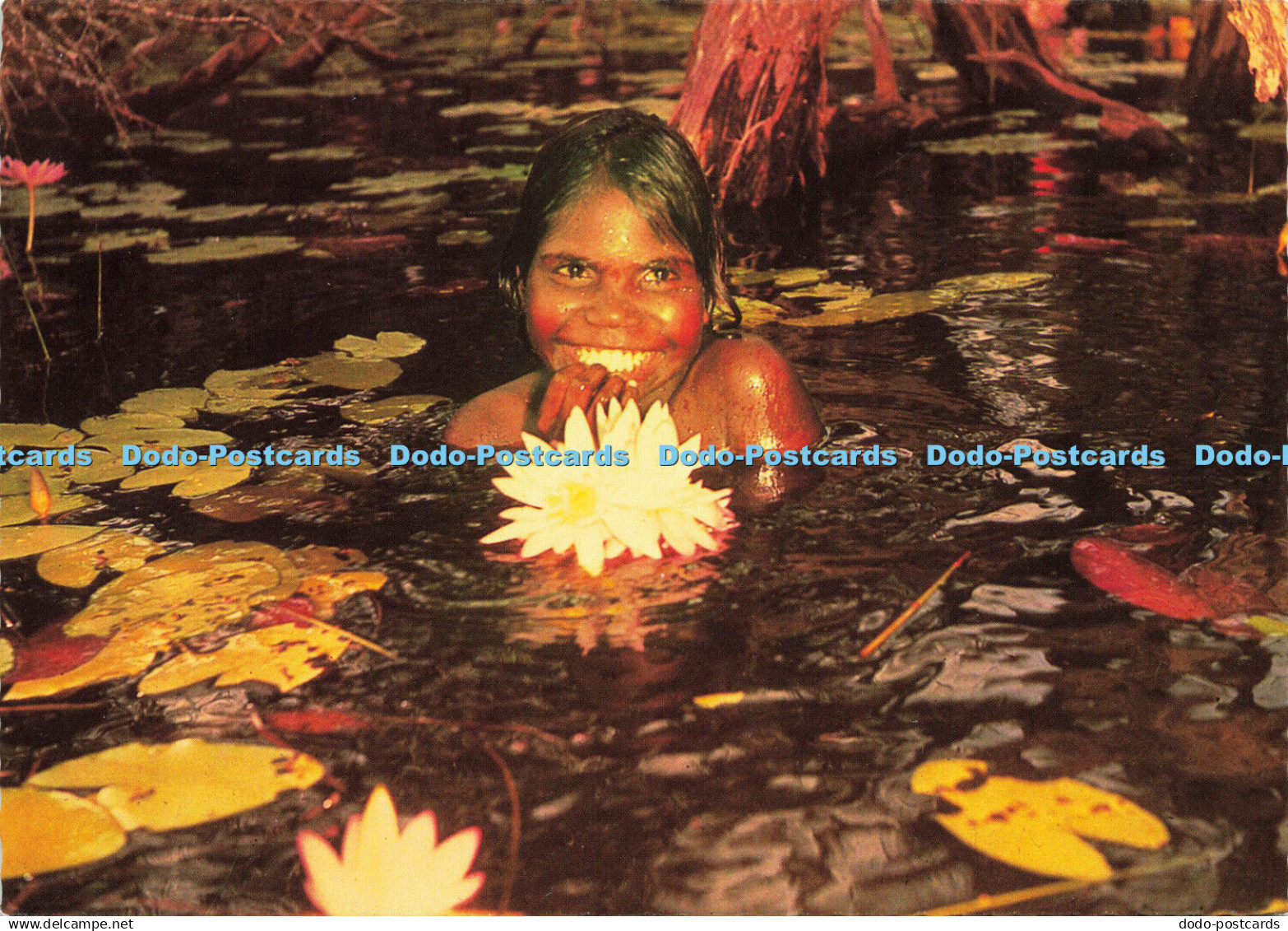 D144793 Darwin. Northern Territory. An Aboriginal girl in a lily pond. Nucolorvu