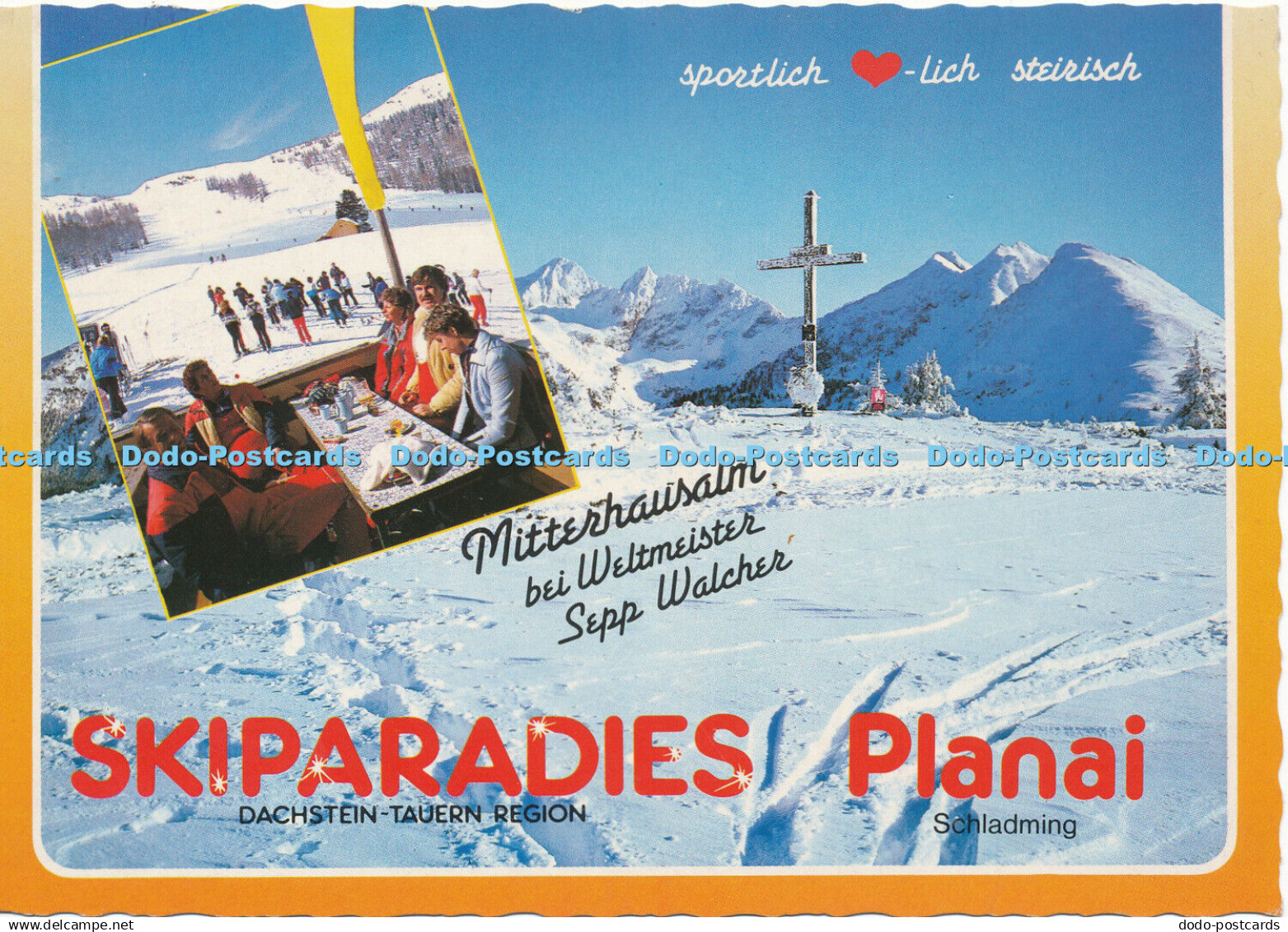 D146064 Planai. Dachstein Tauern Region. Schladming. Landl. Schladming