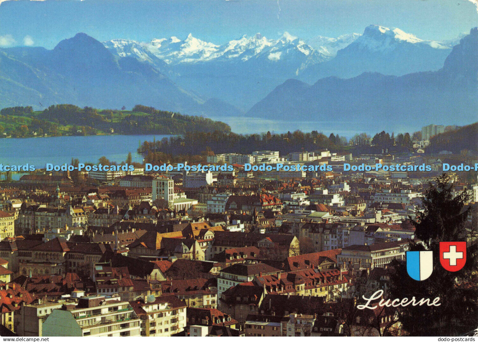 D147304 Lucerne. Photoglob. Postcard