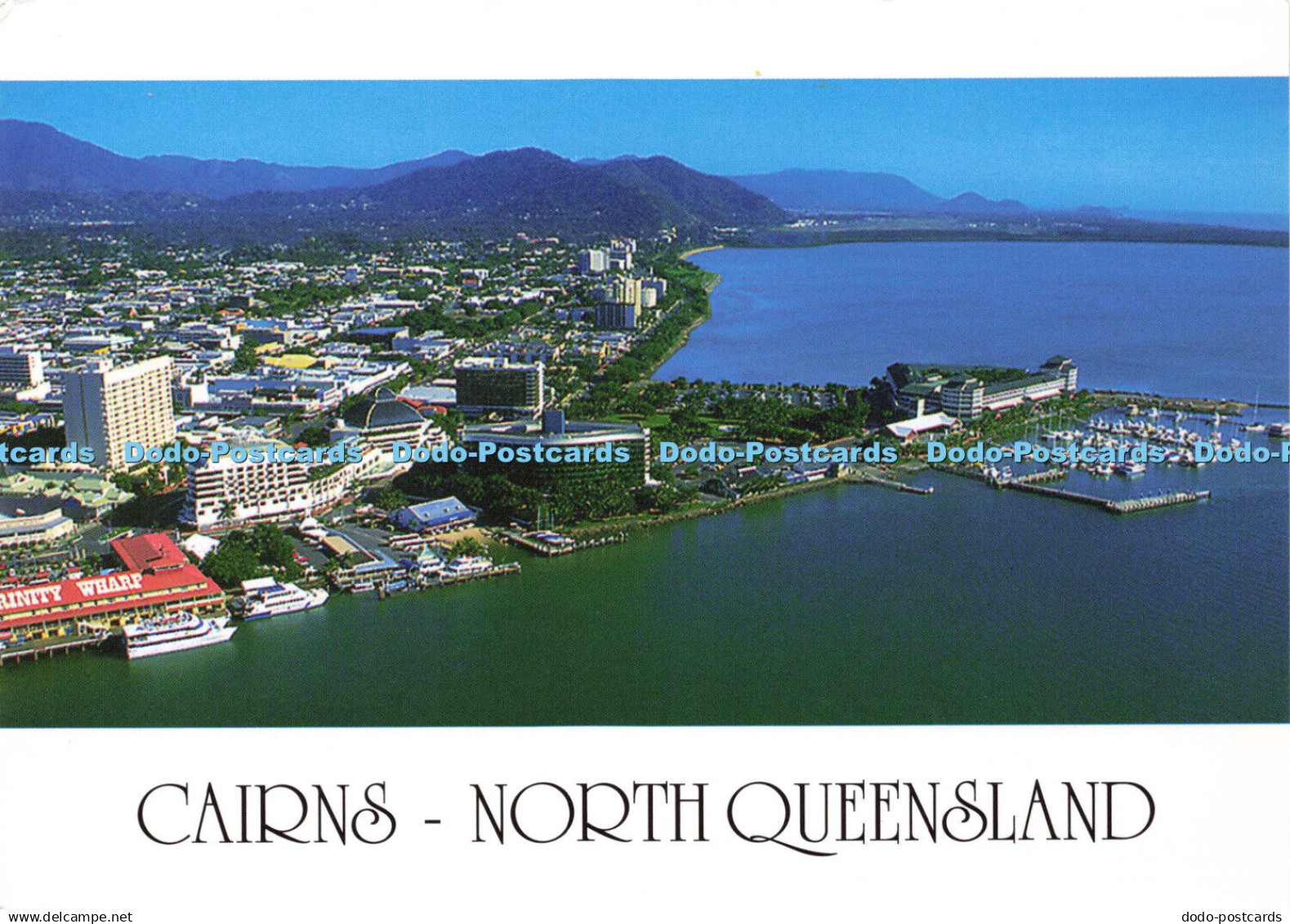 D148002 Cairns. North Queensland. Peer Productions. Brian Cassey