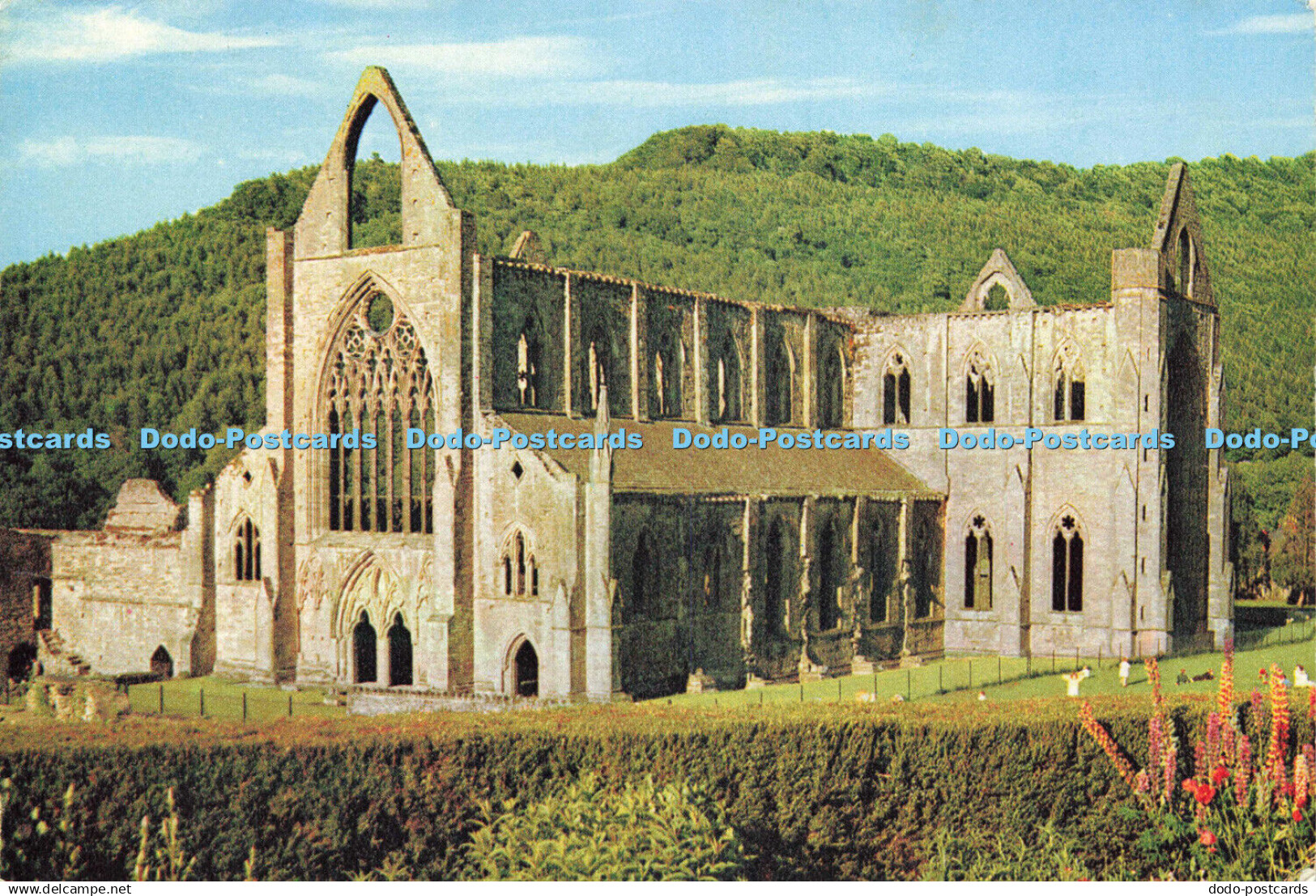 D149813 Monmouthshire. Tintern Abbey. J. Arthur Dixon