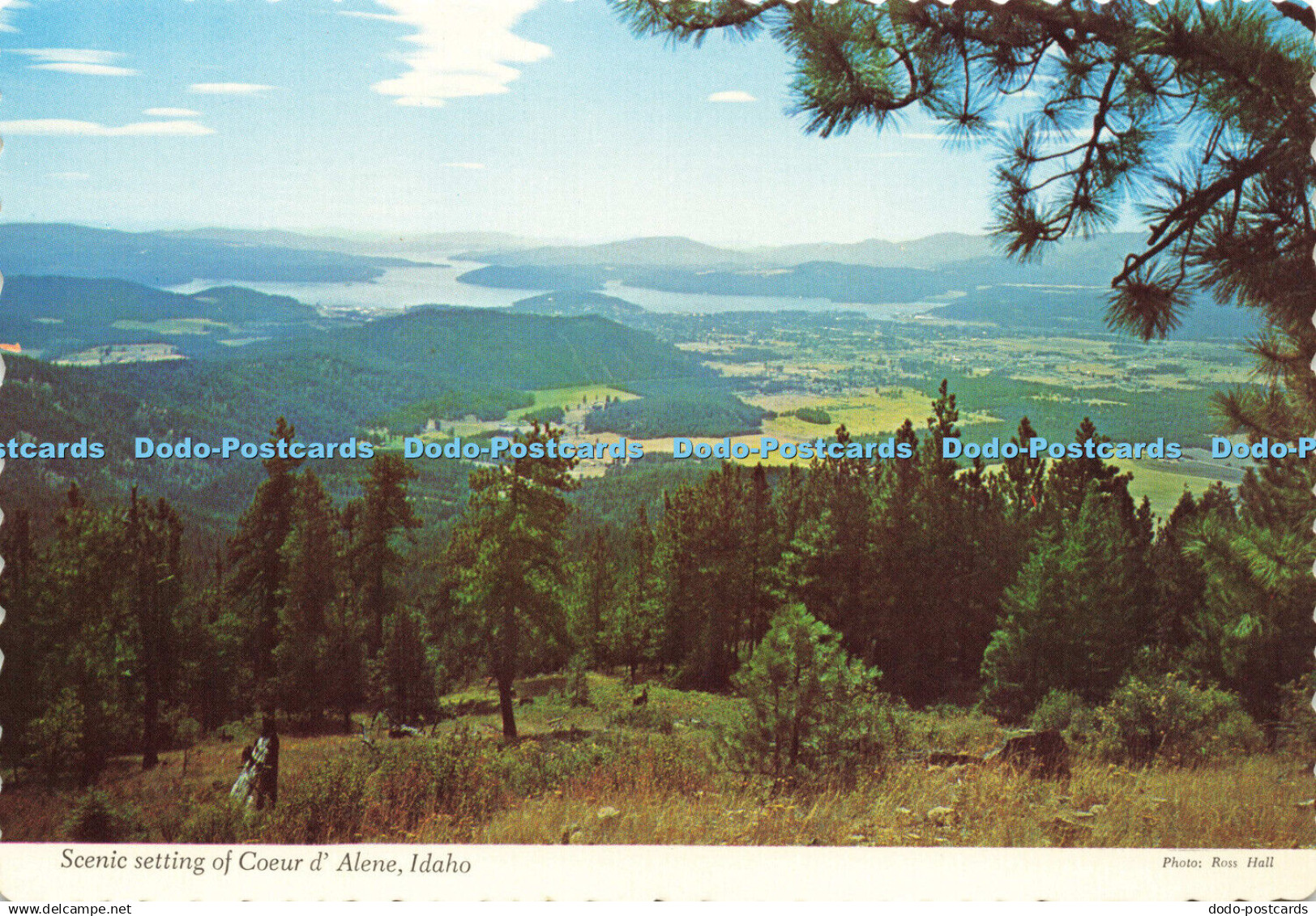 D155792 Idaho. Scenic Settings of Coeur d Alene. Ross Hall Scenics. Dexter Press