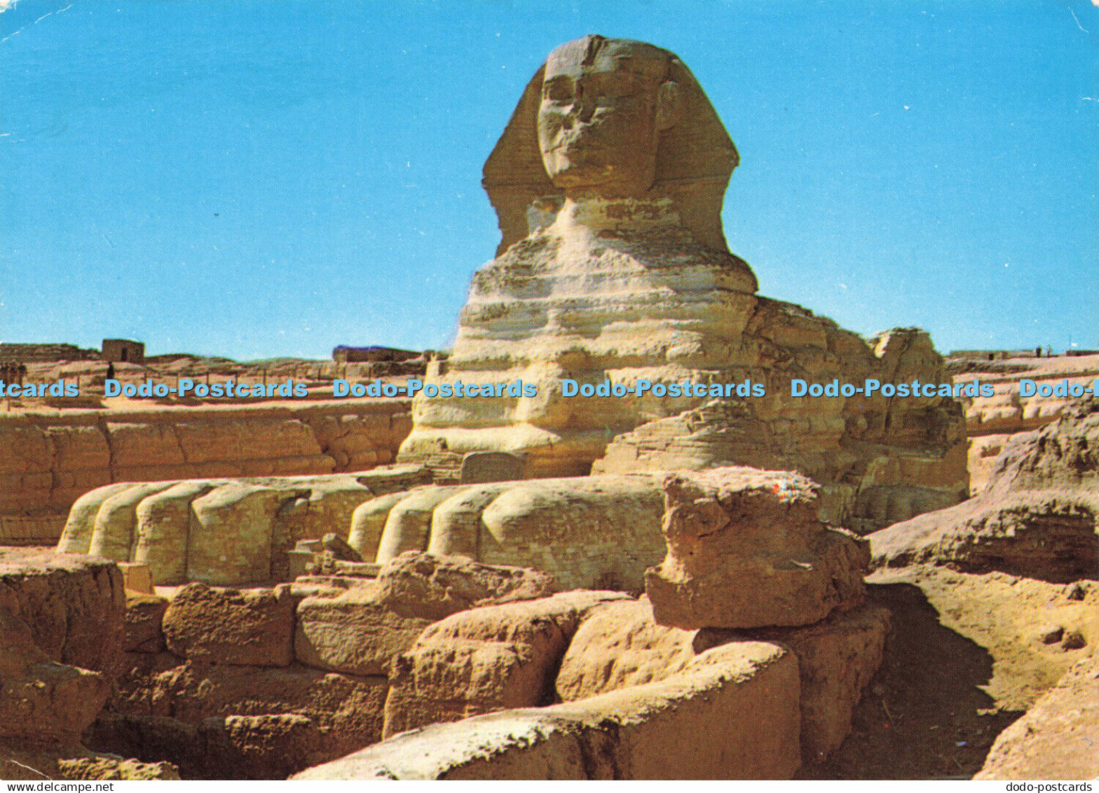 D155969 Giza. The Sphinx. Postcard