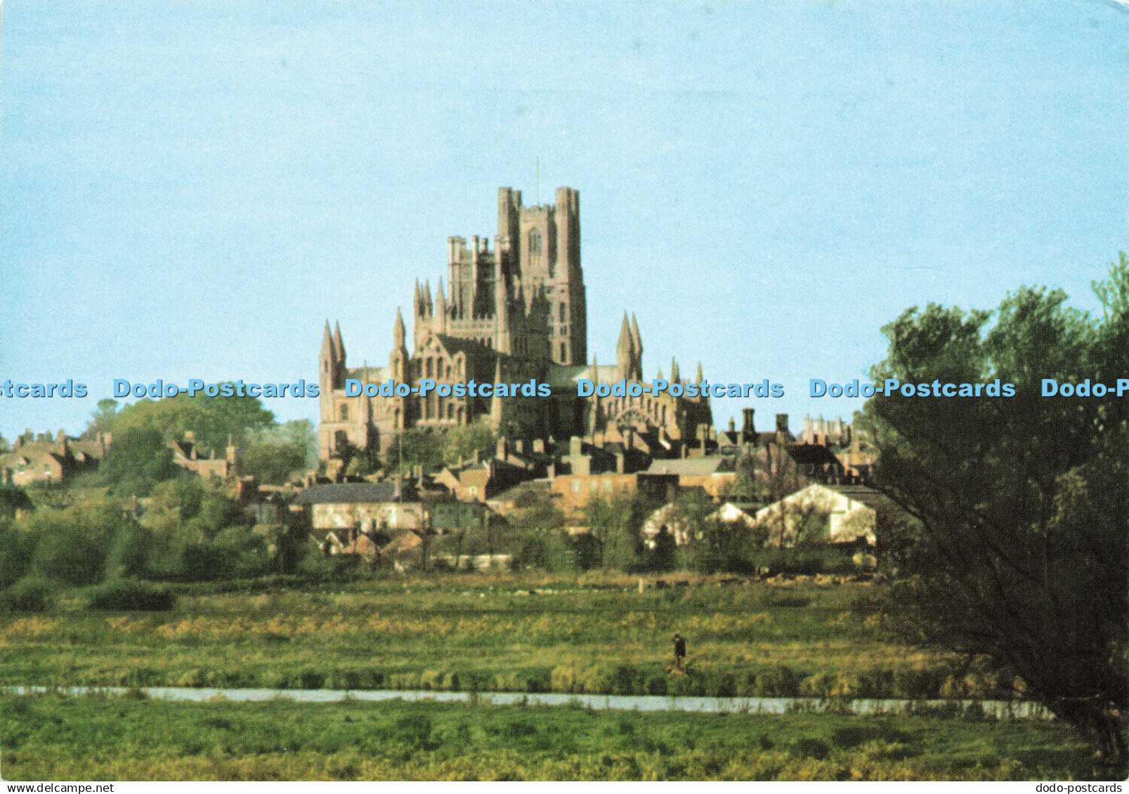 D162582 Friends of Ely Cathedral. View of Ely Cathedral From the South East. Dr.