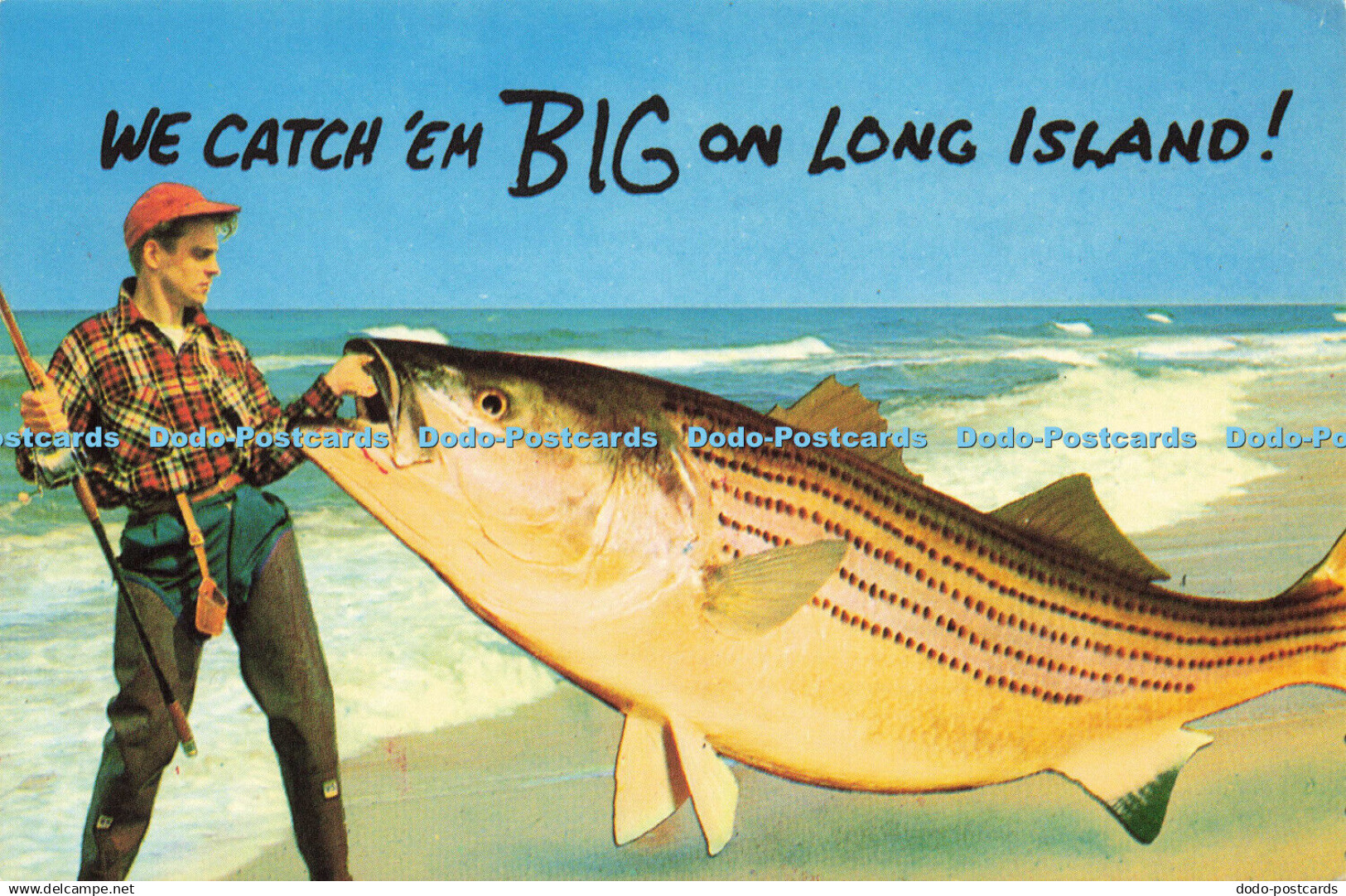 D166007 We Catch em Big on Long Island. Tomlin. Milt Puce