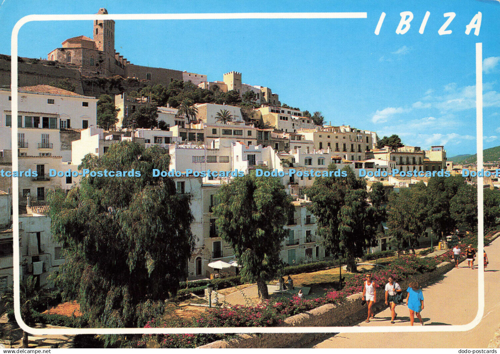 D171321 Ibiza. Cofiba. Postcard